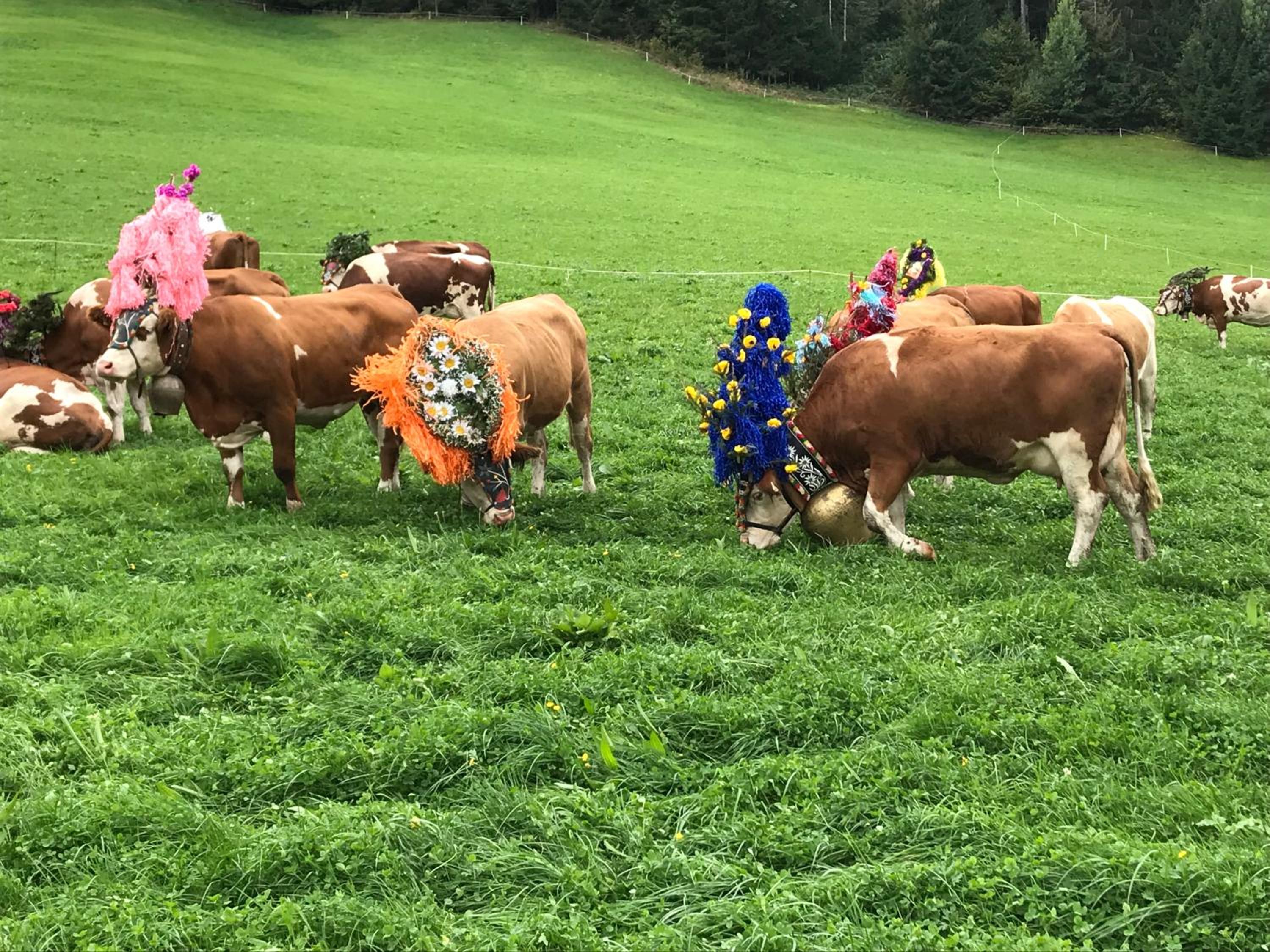 Au Pension