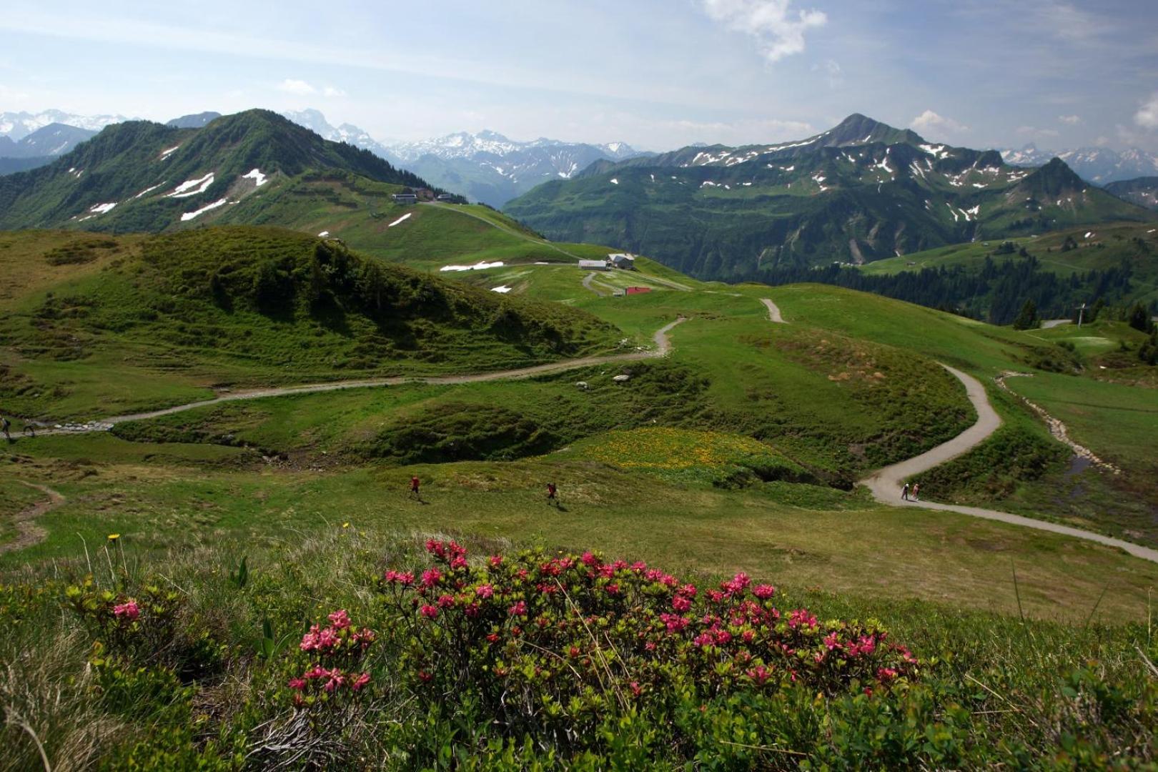 Hirschberghütte