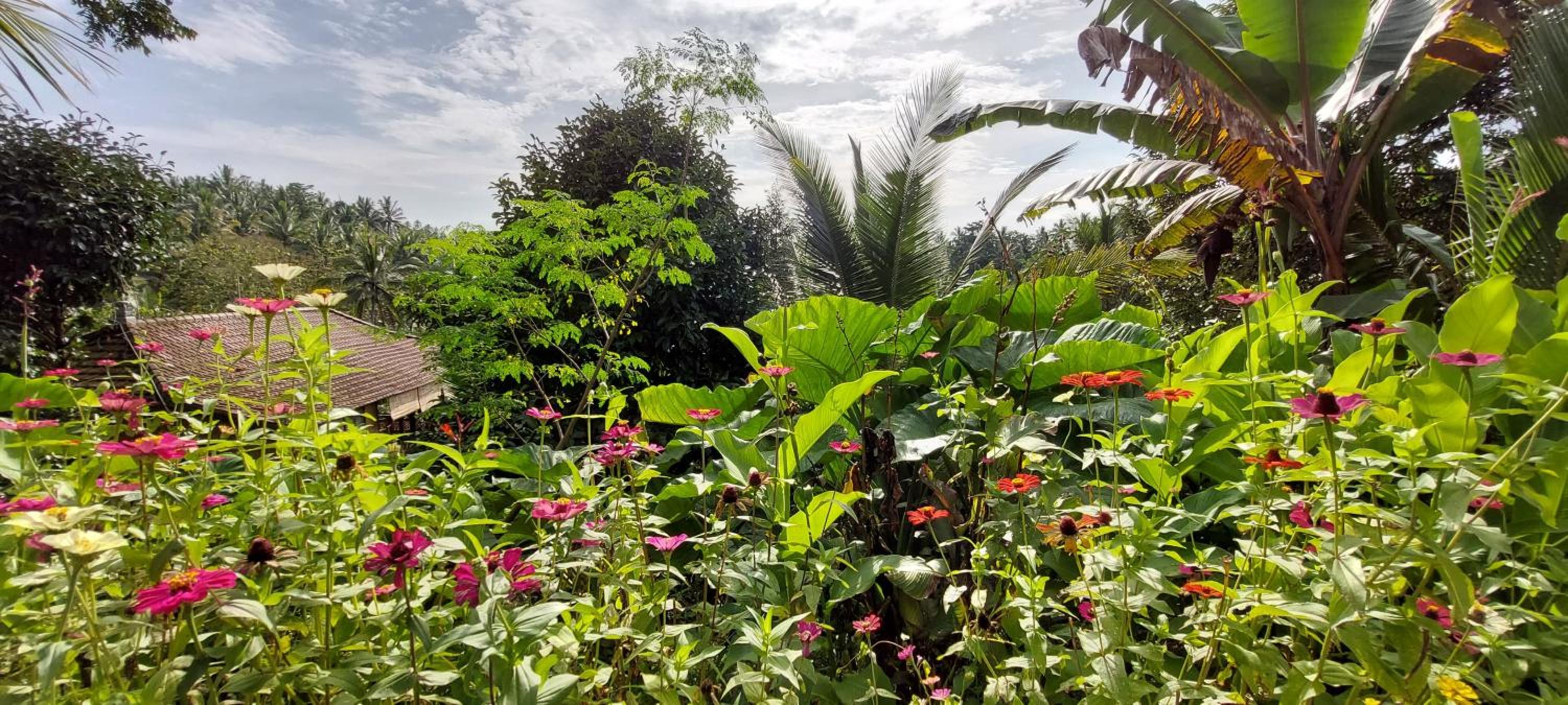 JungleHavenBali - Private Nature Stay