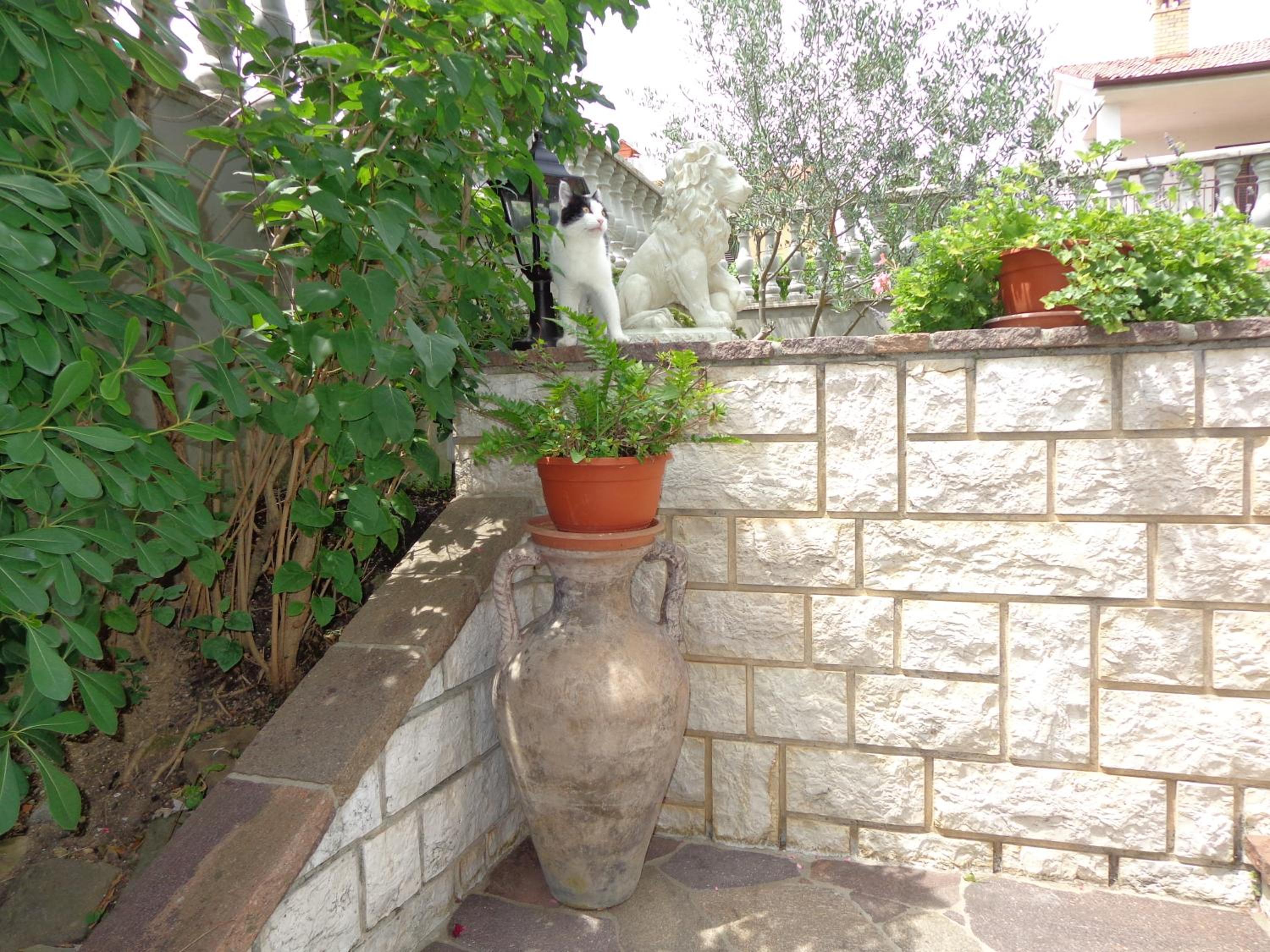 Photo 57