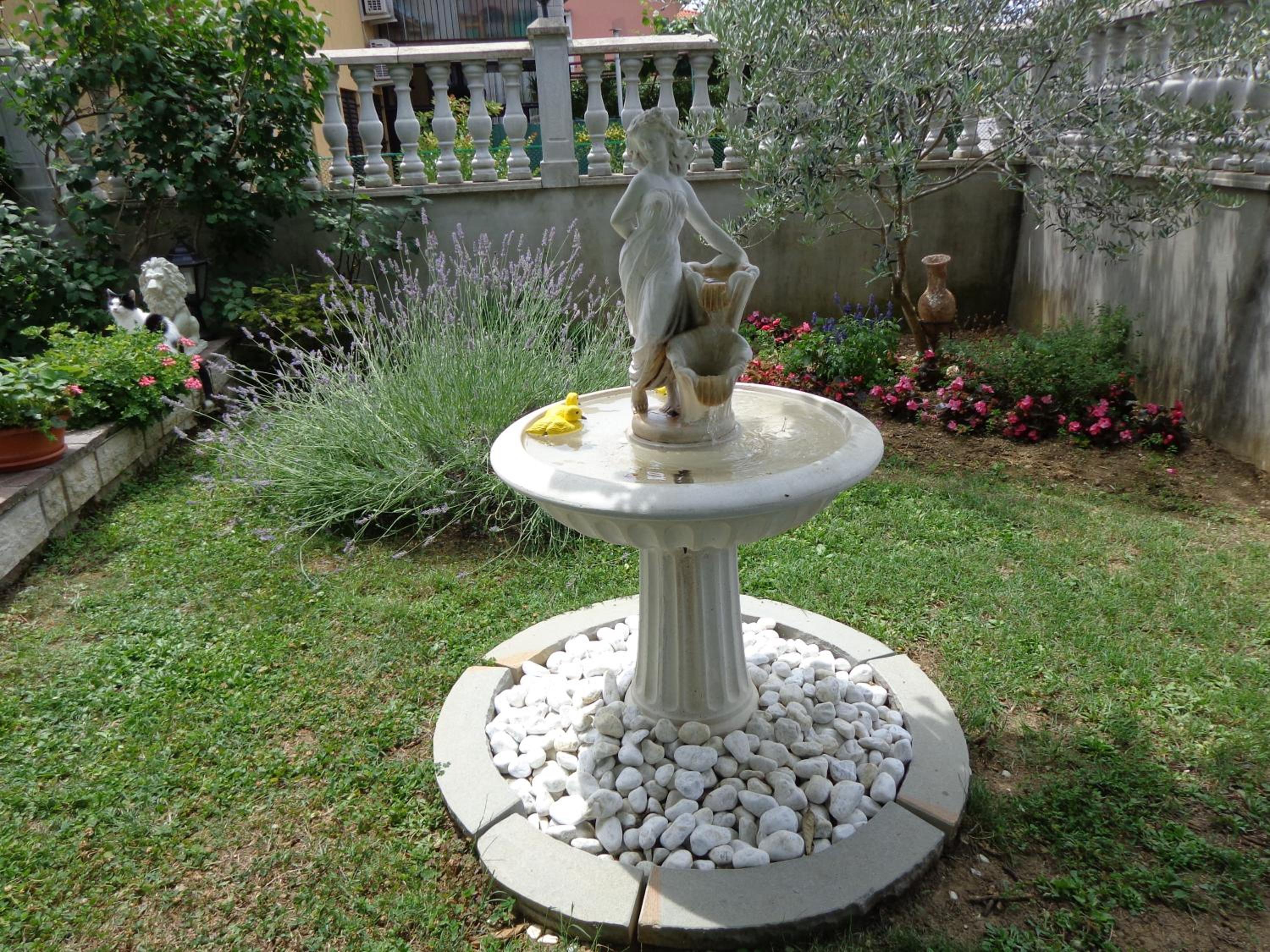 Photo 61