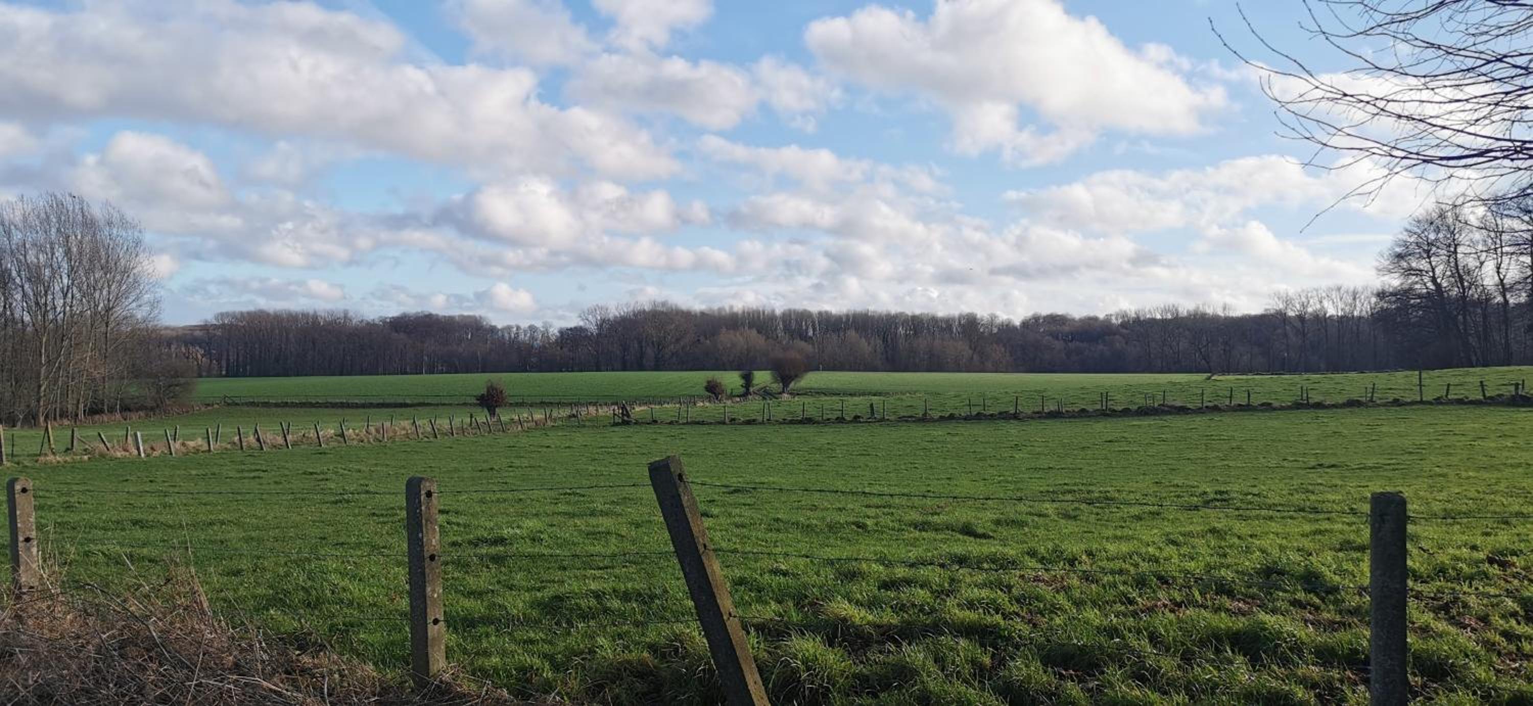 De Groene Hoeve