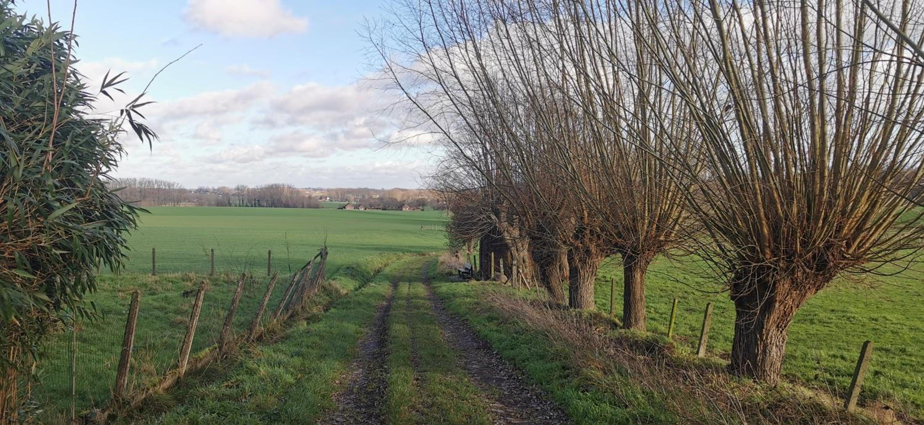 De Groene Hoeve