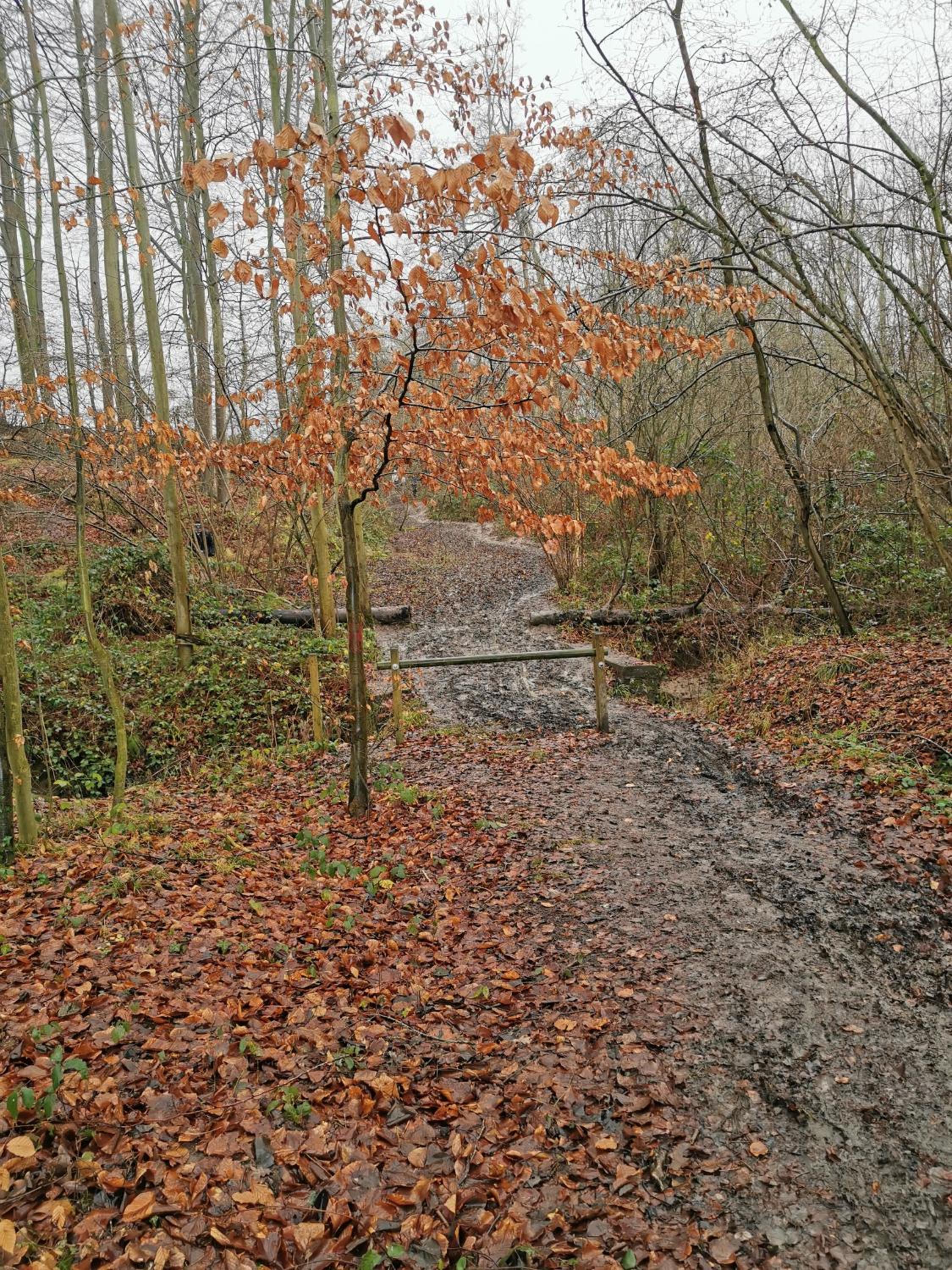 De Groene Hoeve