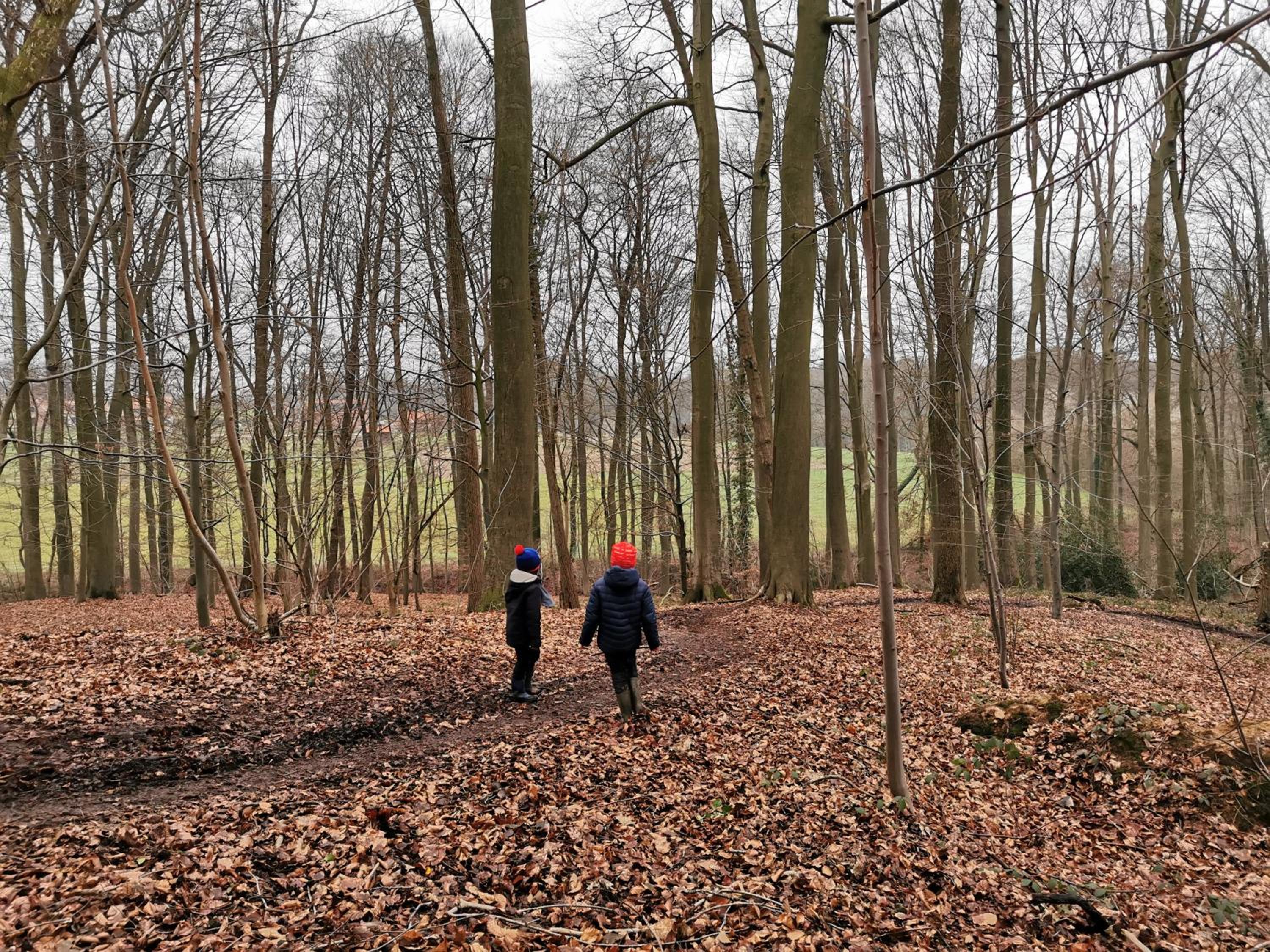 De Groene Hoeve