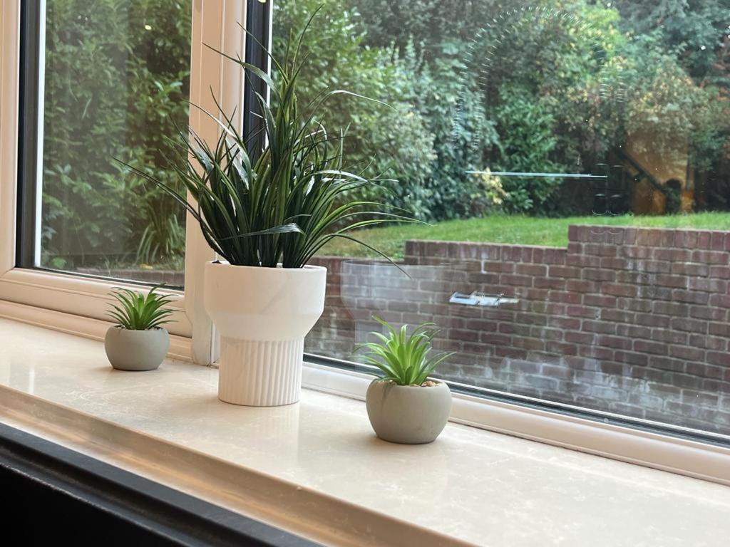 Forest Edge - Image 2