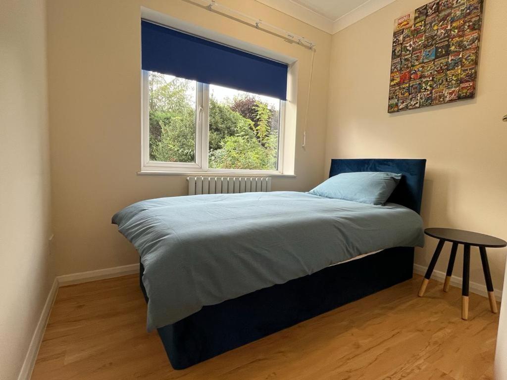 Forest Edge - Image 5