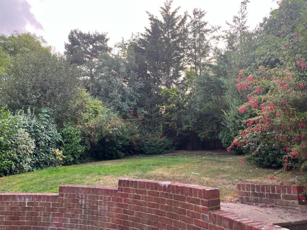 Forest Edge - Image 4