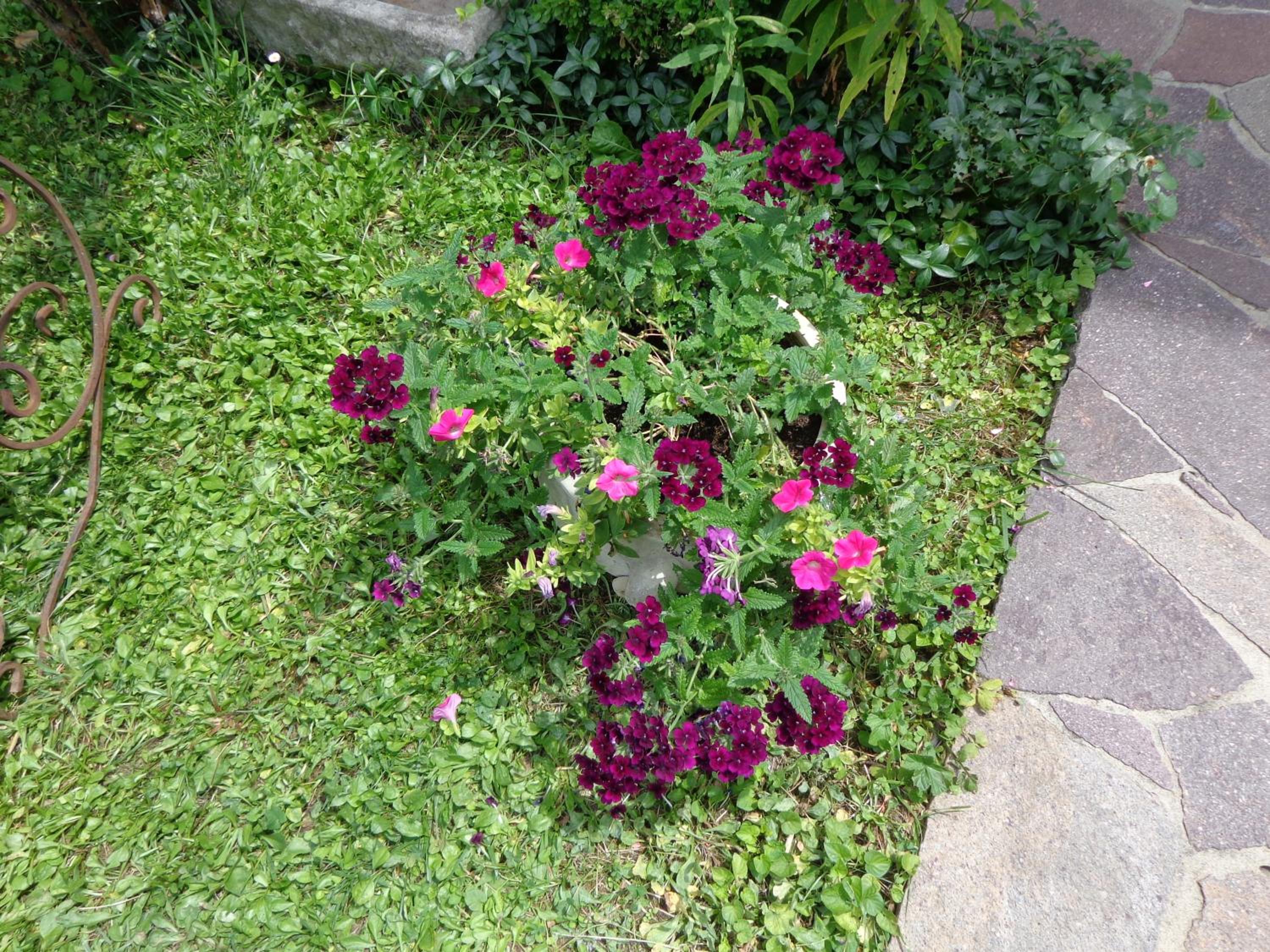 Photo 63
