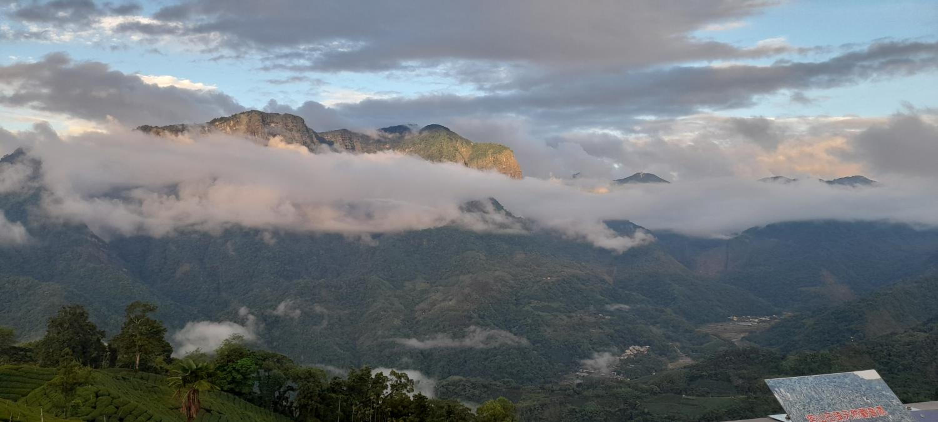 Alishan Shanyunhua B&B Homestay view 2