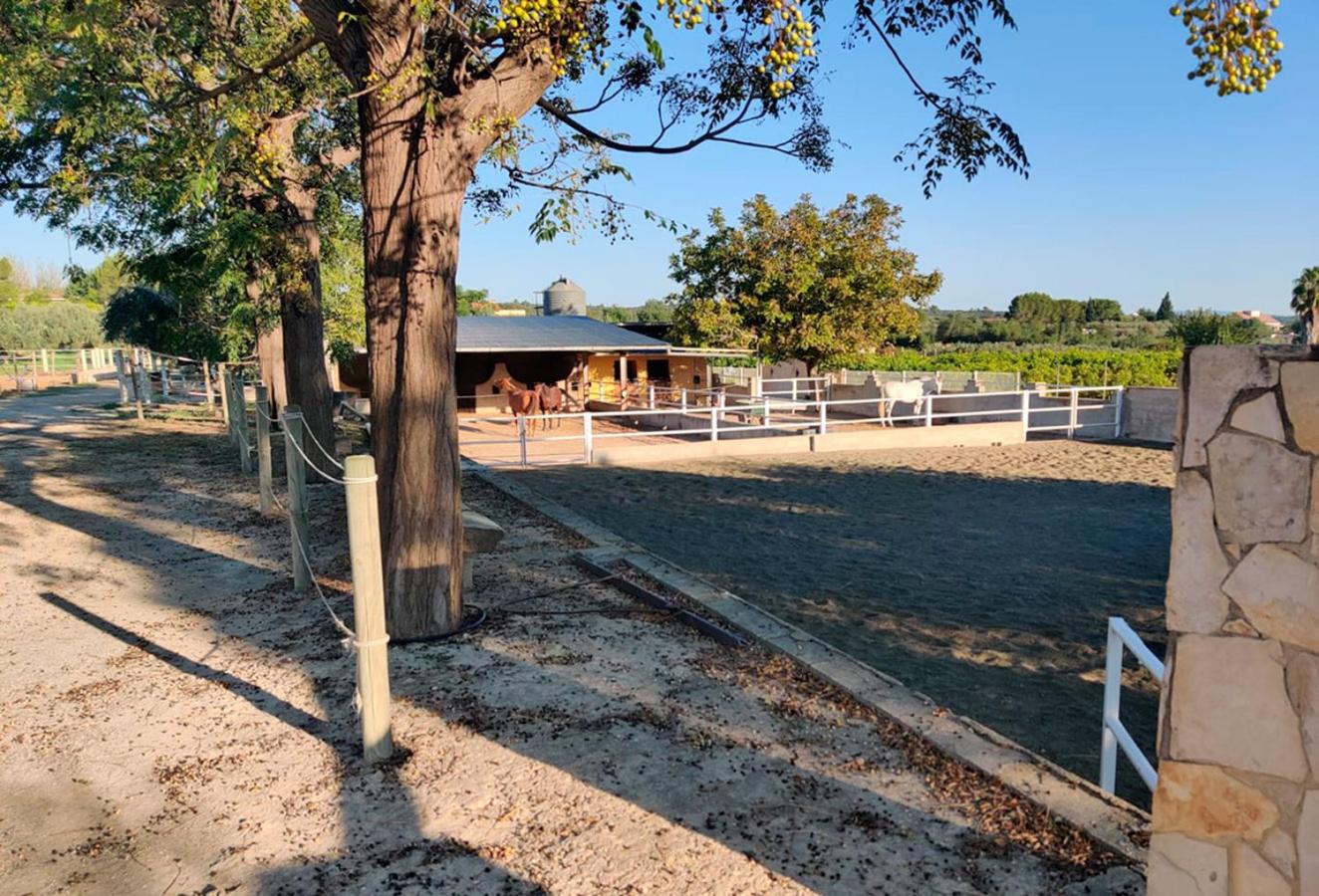 Casa Rural en Yeguada Vistabella.