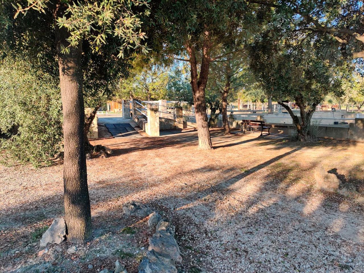 Casa Rural en Yeguada Vistabella.