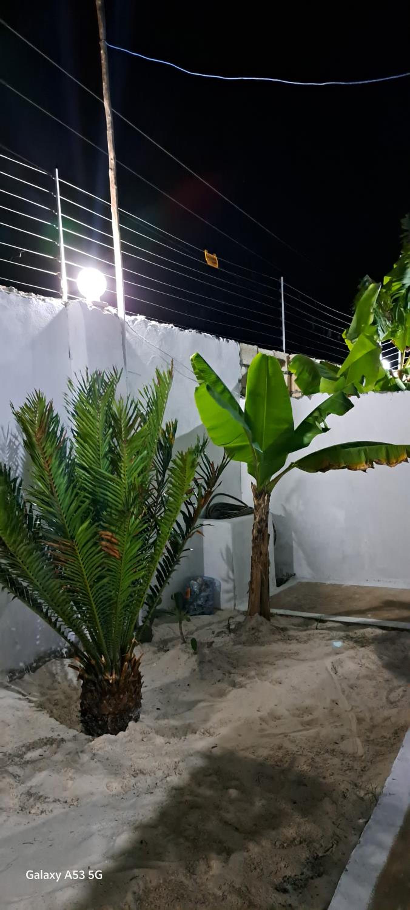 LaStrada-3 Coconuts