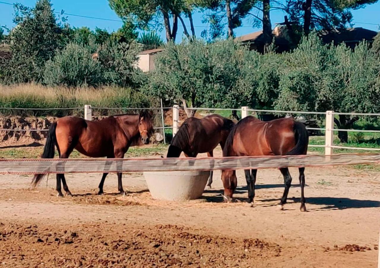 Casa Rural en Yeguada Vistabella.