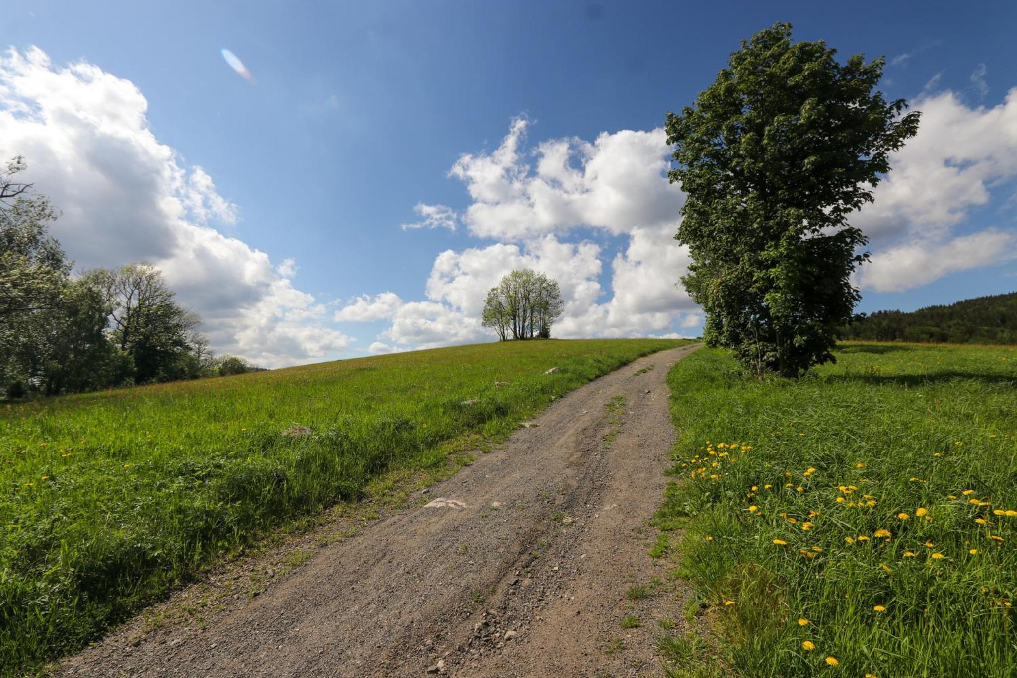 Pod Špičákem