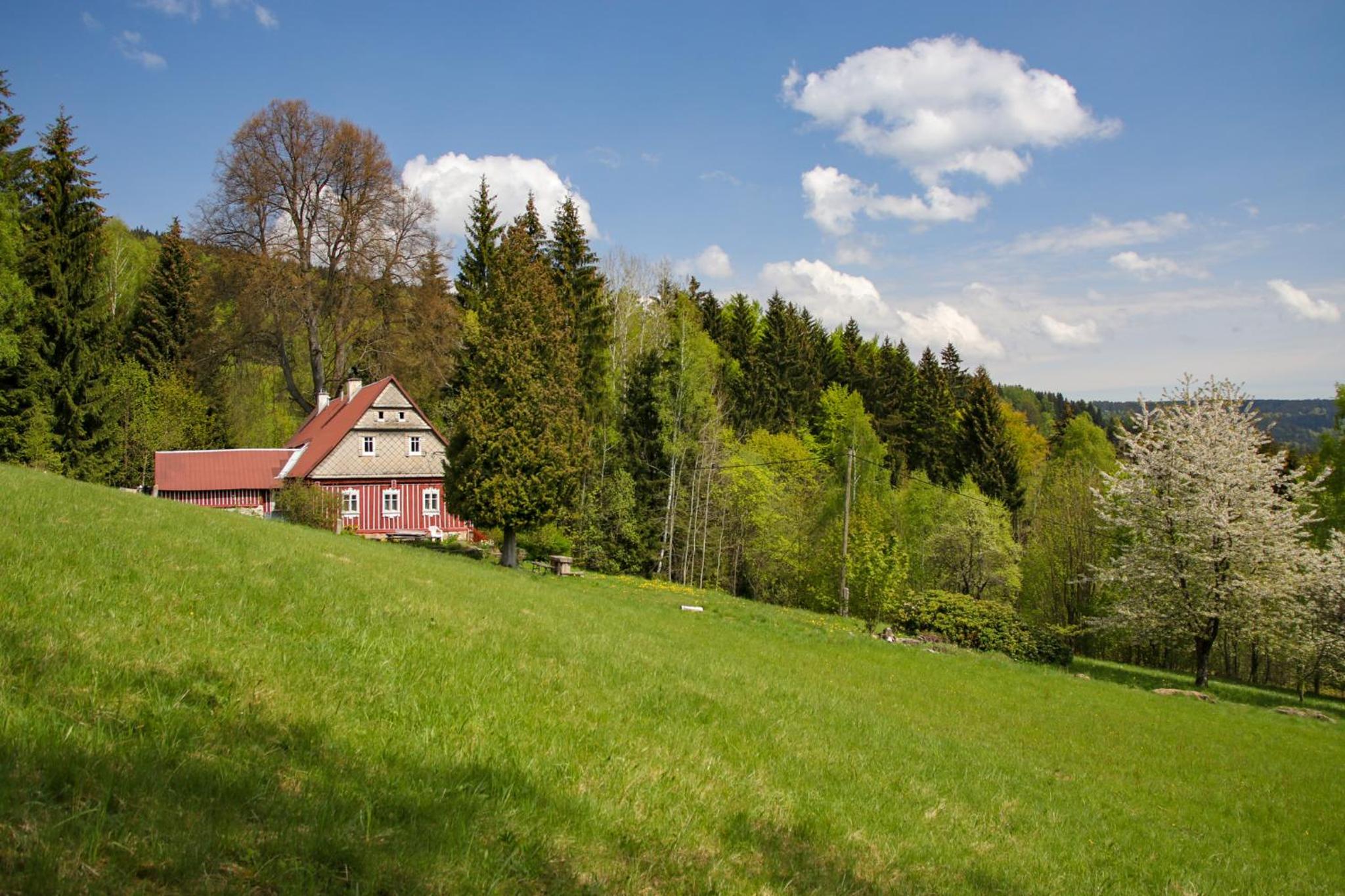 Pod Špičákem