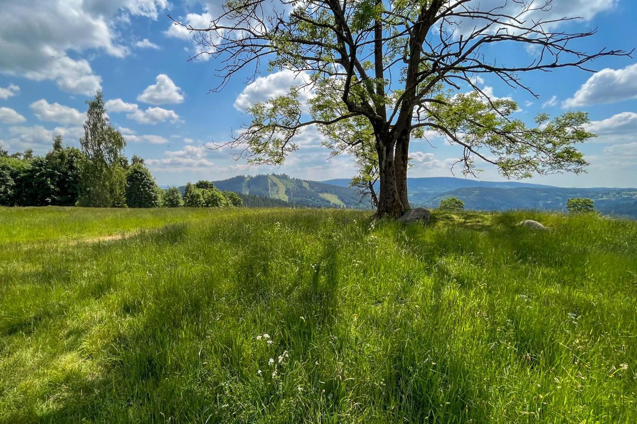 Pod Špičákem