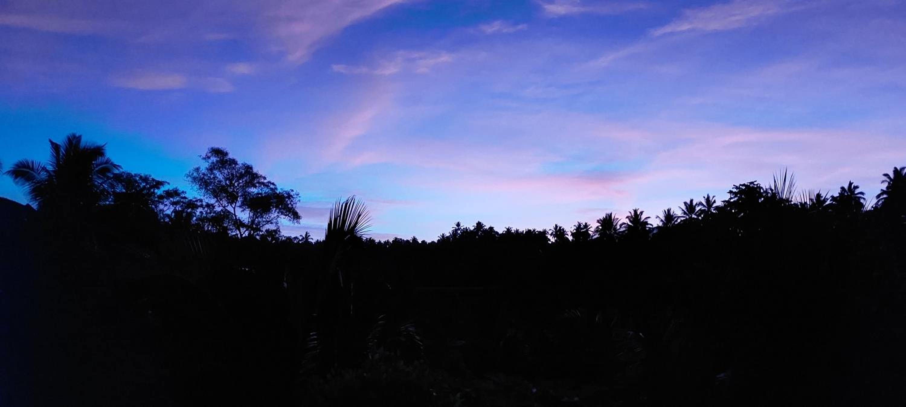 JungleHavenBali - Private Nature Stay