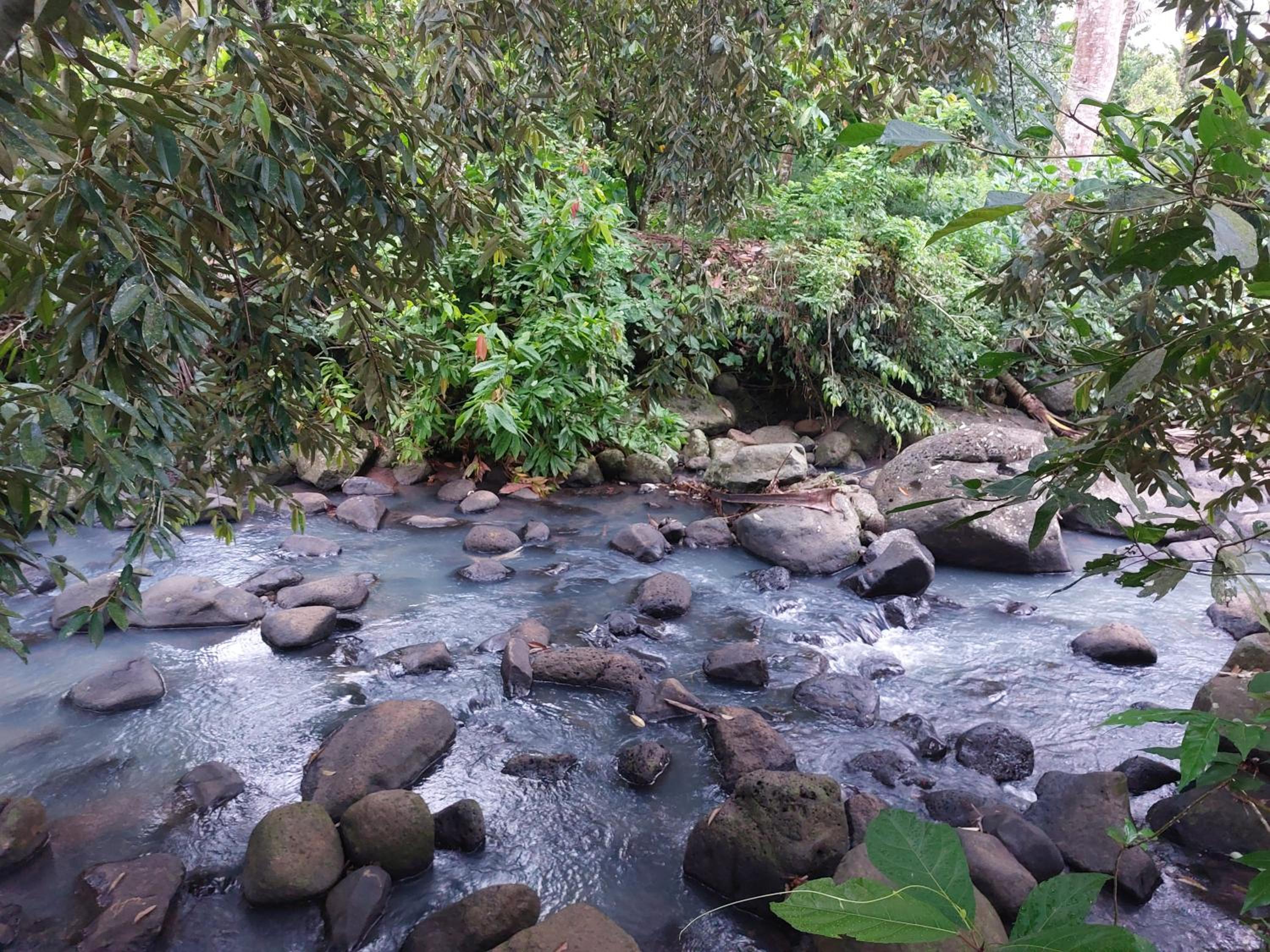 JungleHavenBali - Private Nature Stay