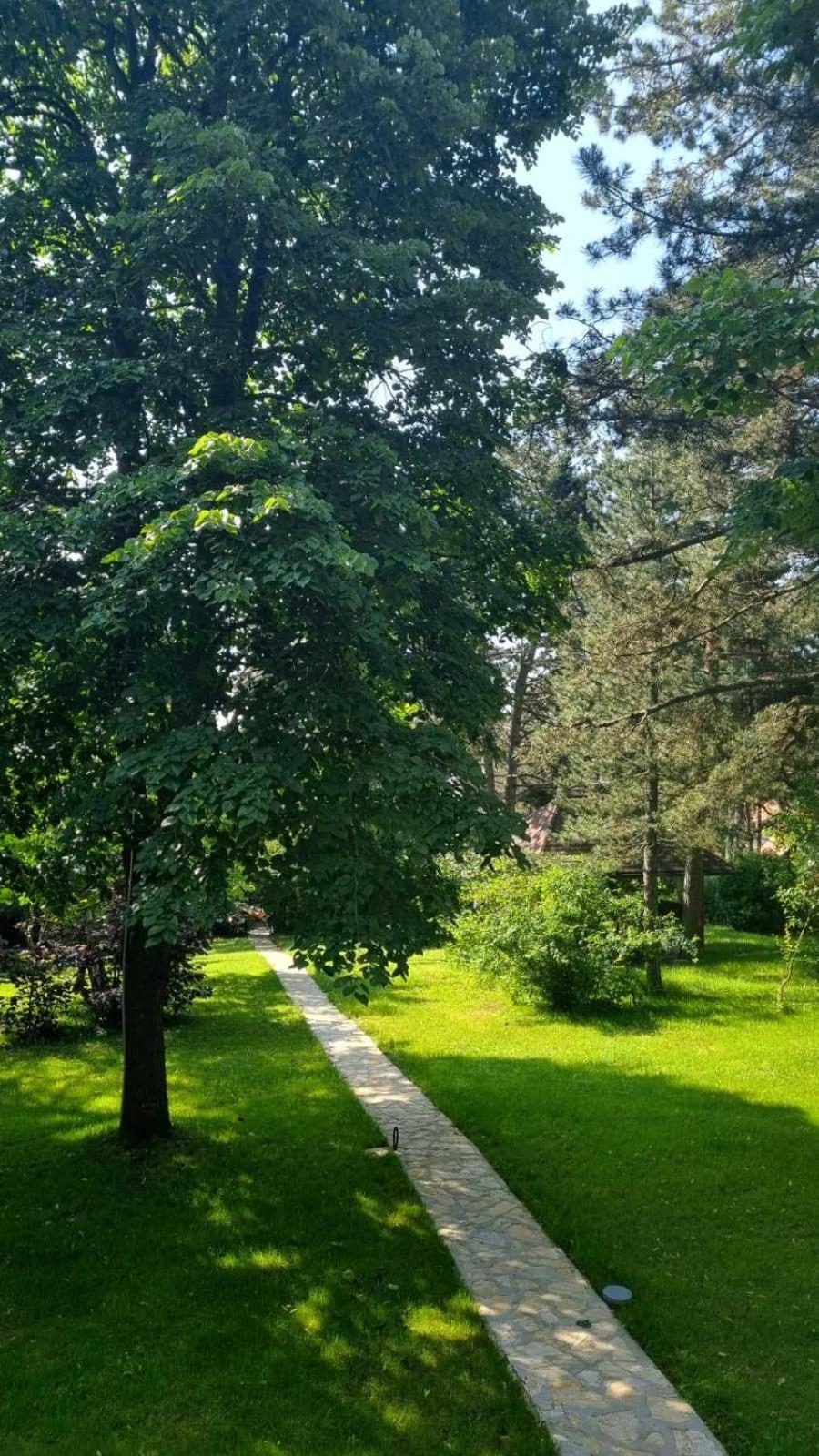 Vila Lucic Zlatibor view 4