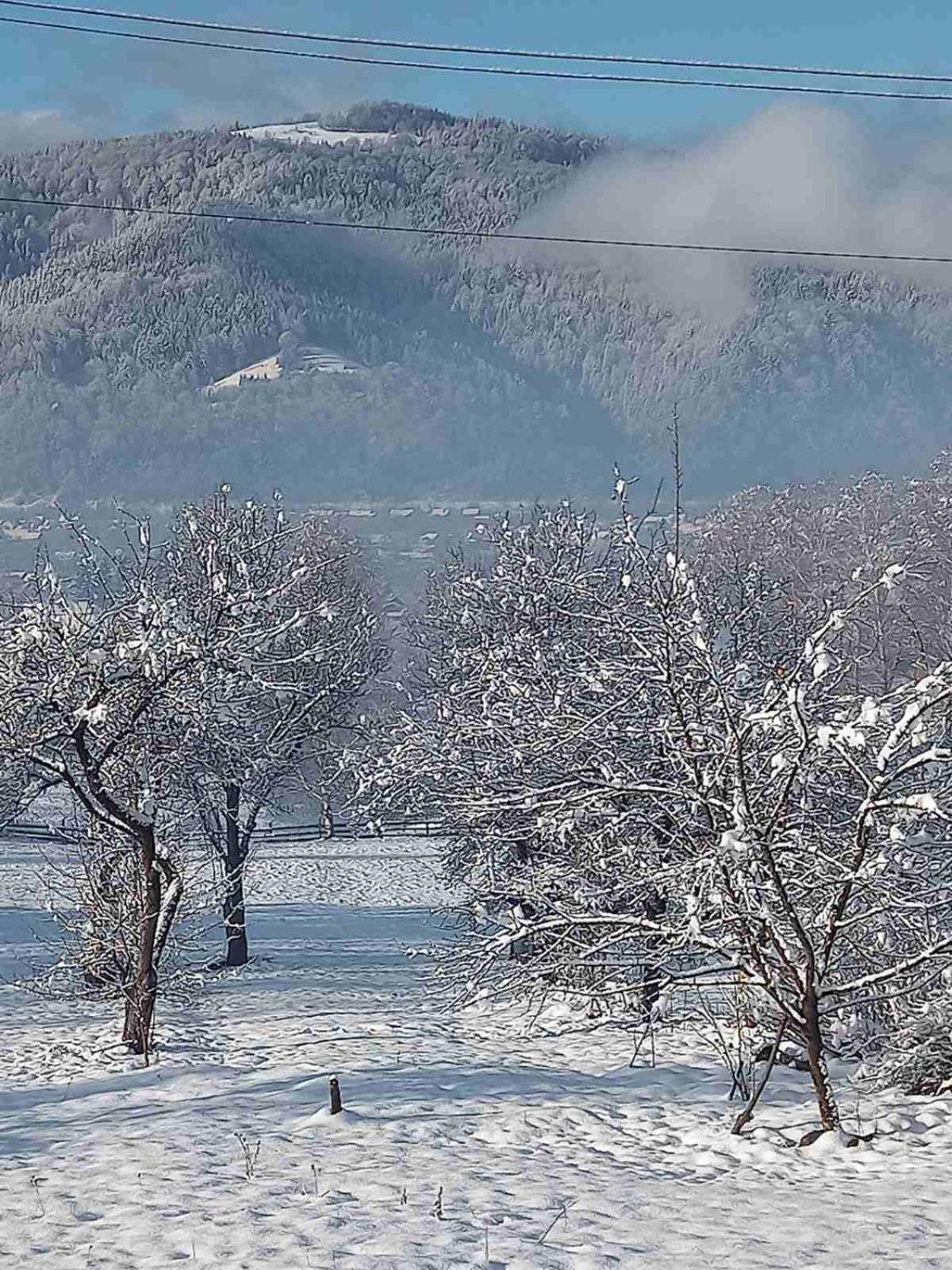 Вілла Зозуля view 2