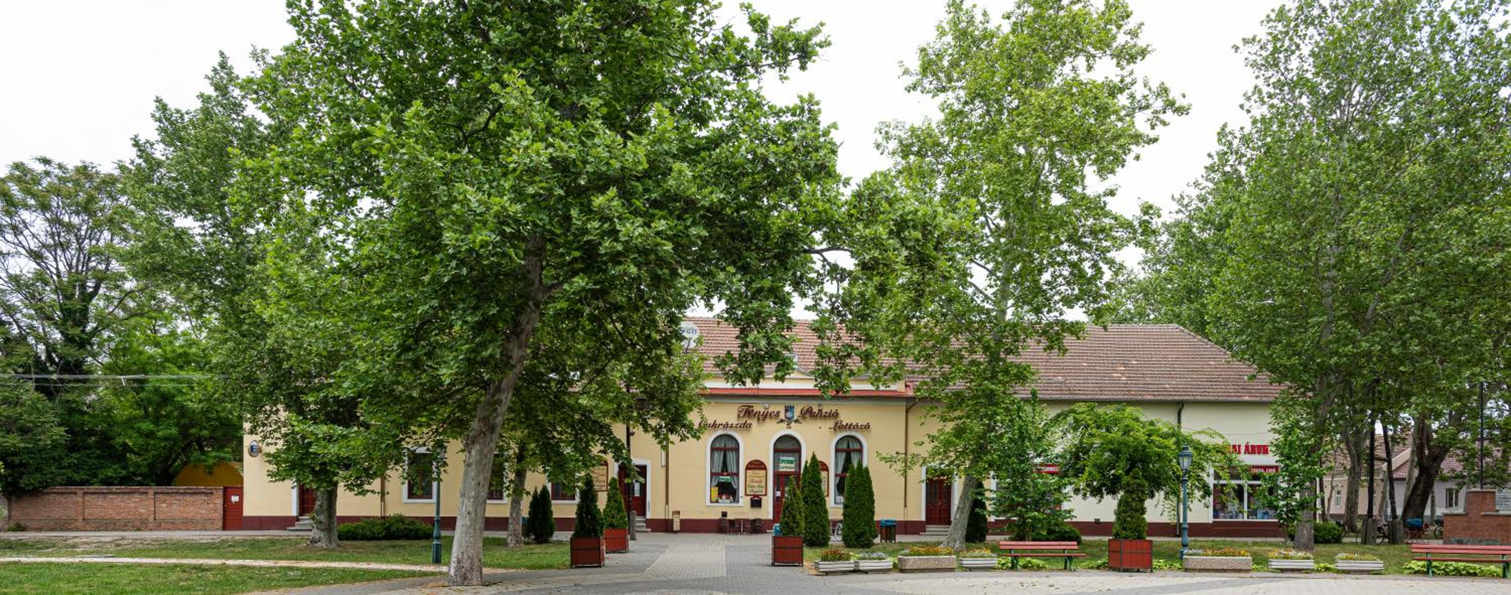 Photo 10