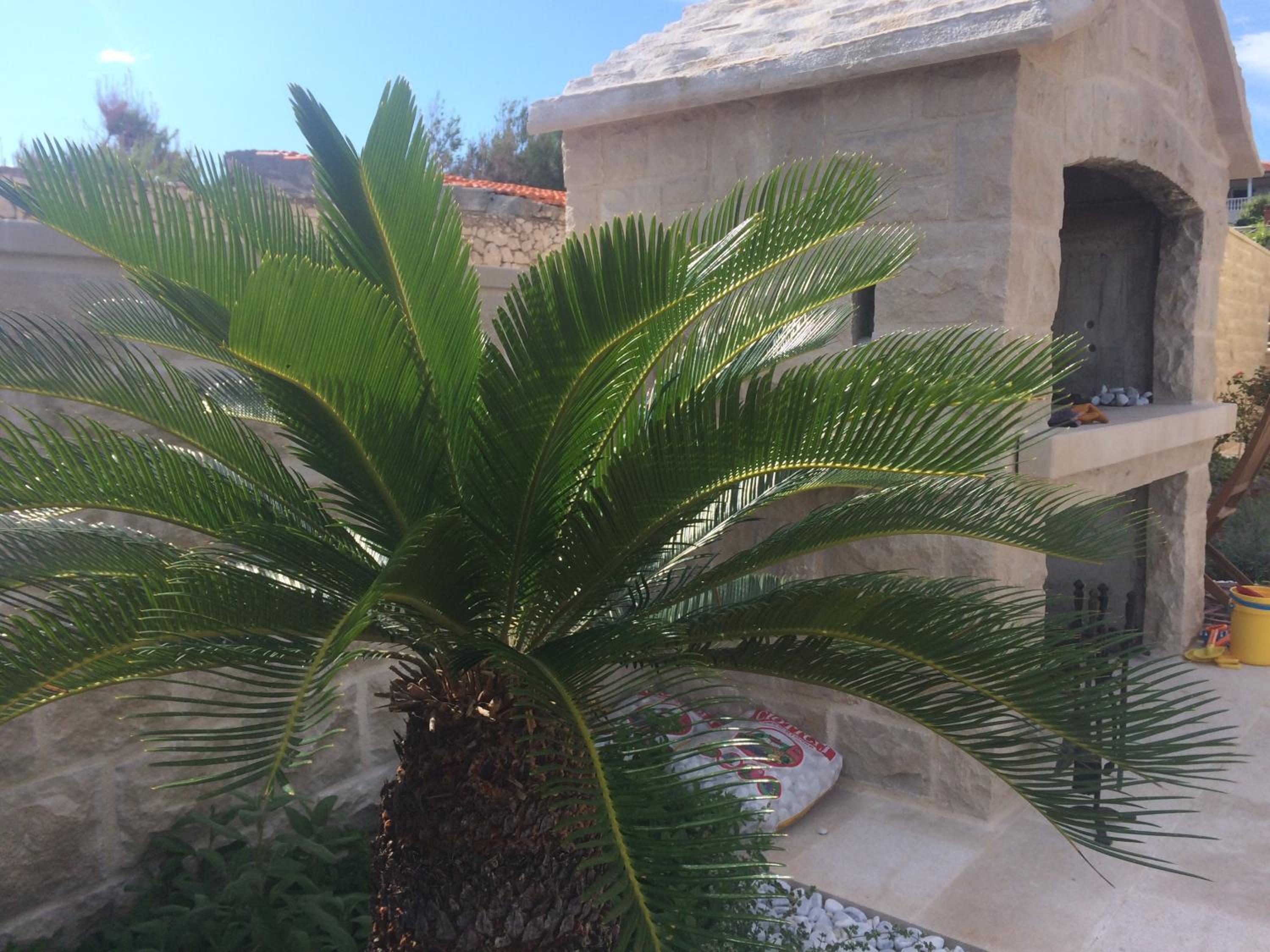 Villa Brac