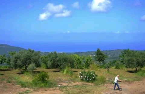 B&B Il Giardino di Circe - Filadelfia (VV) view 4
