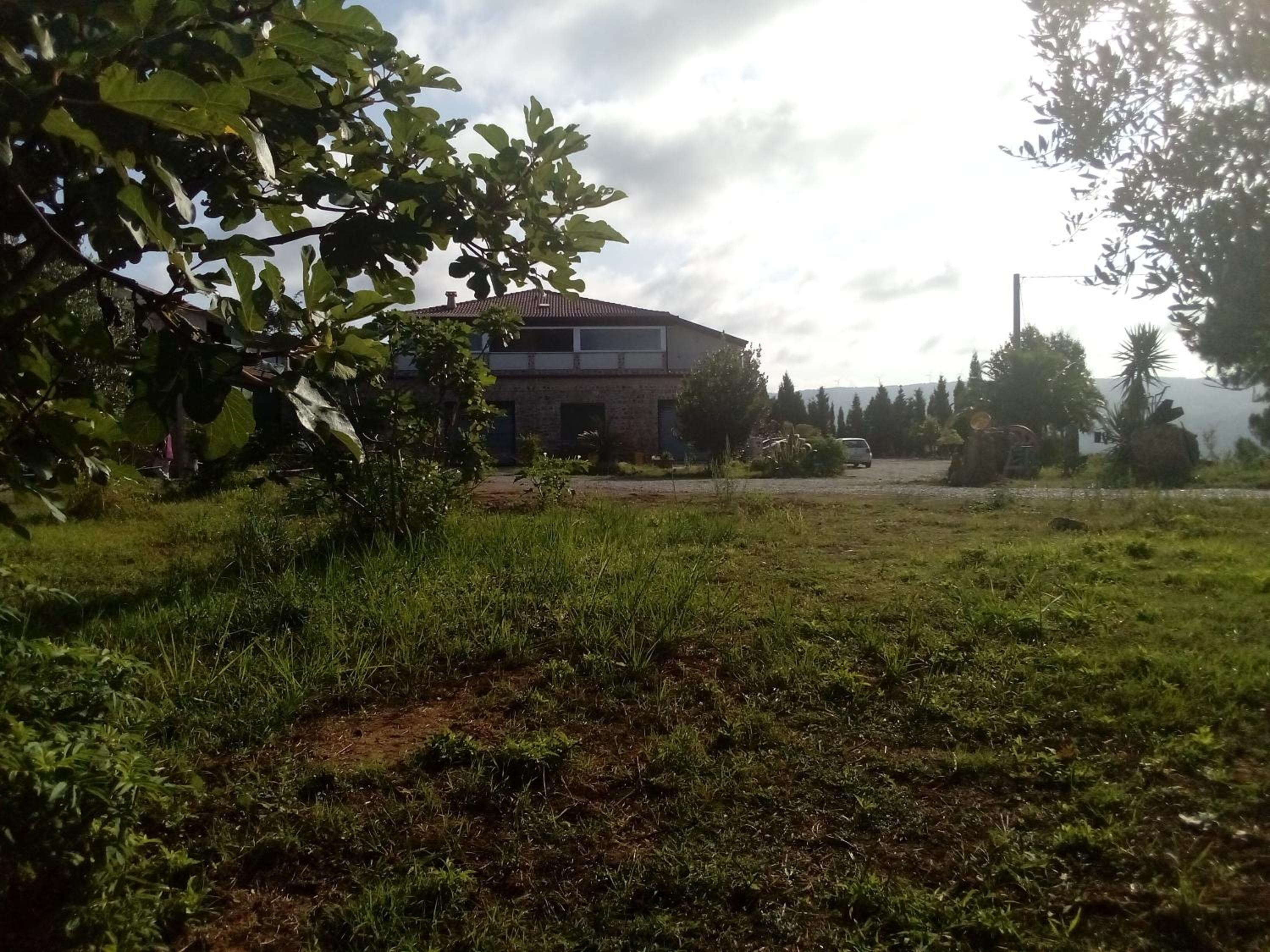 Photo 57
