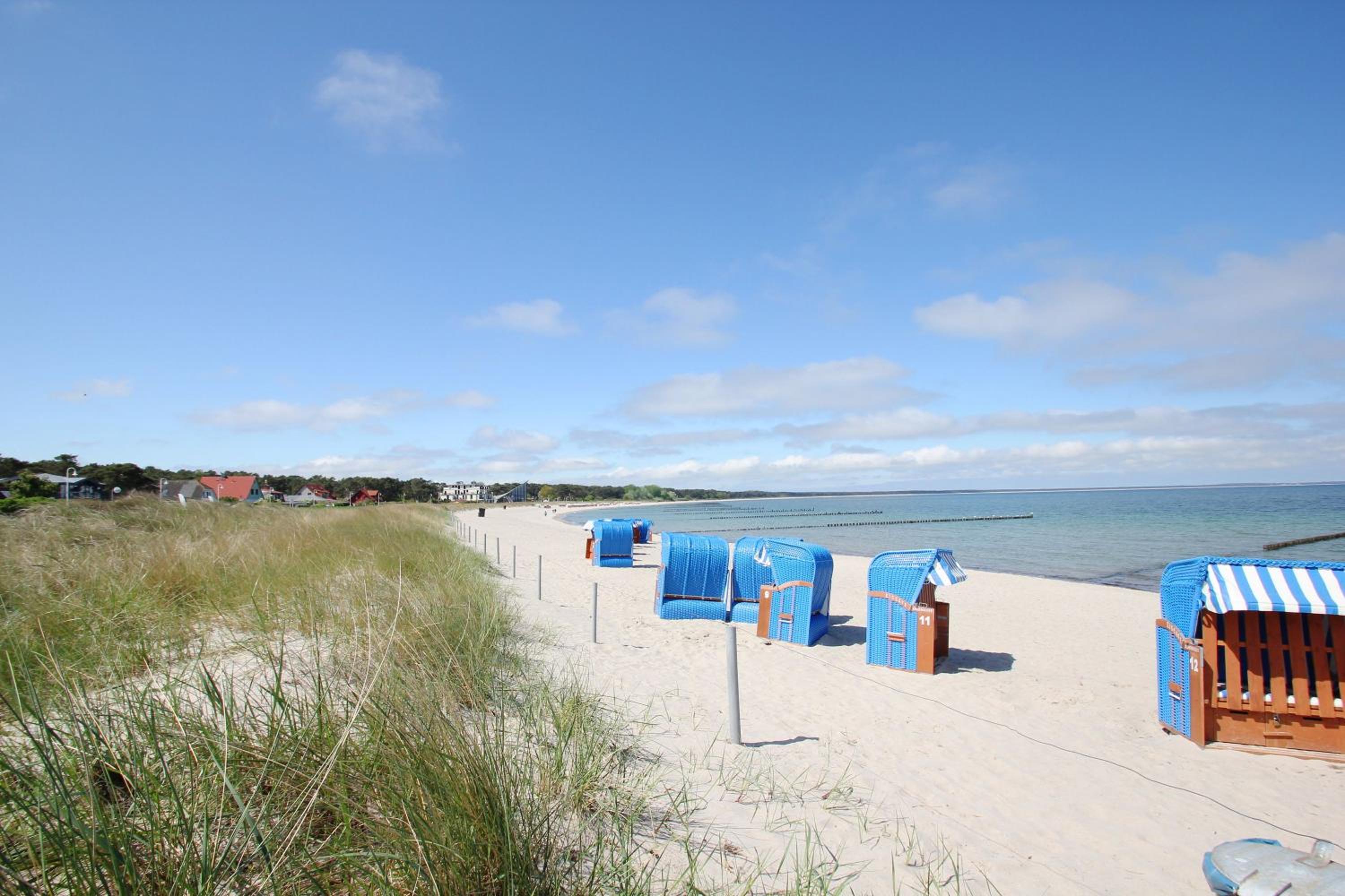 Direkt am Waldrand mit Balkon und in Strandnähe - Ferienwohnung Cosmo