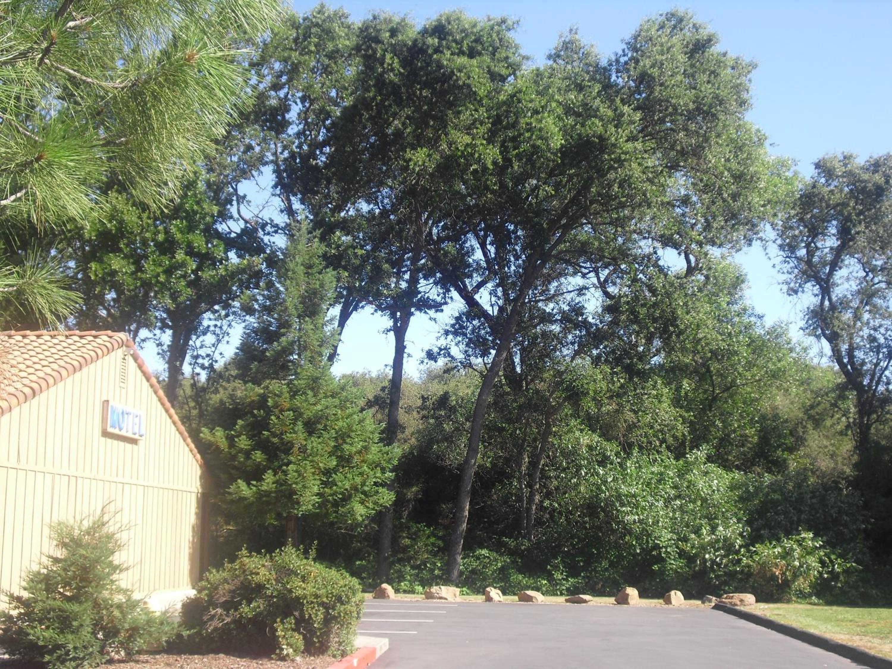 Creekside Lodge