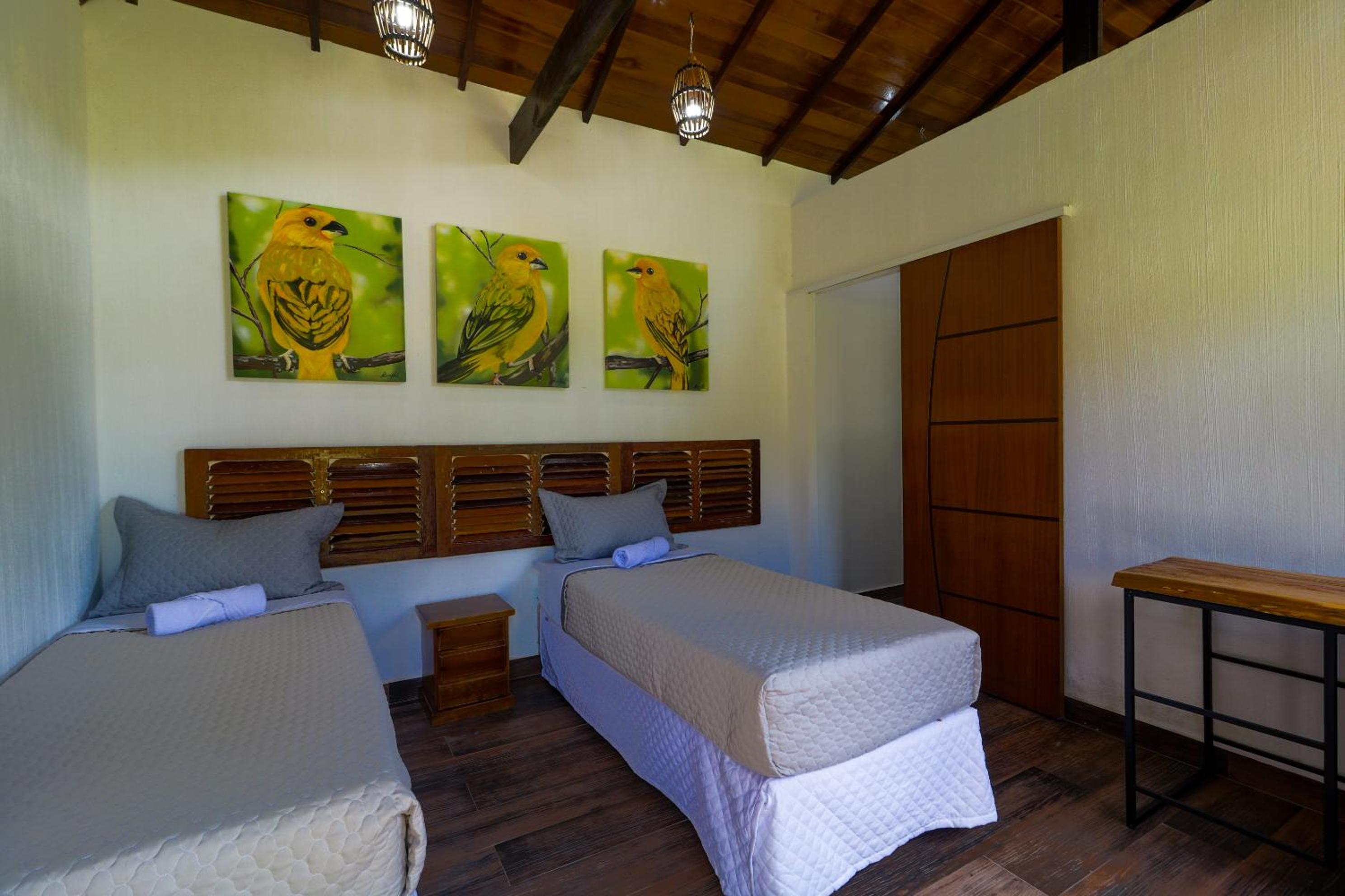 Art Green Teresópolis