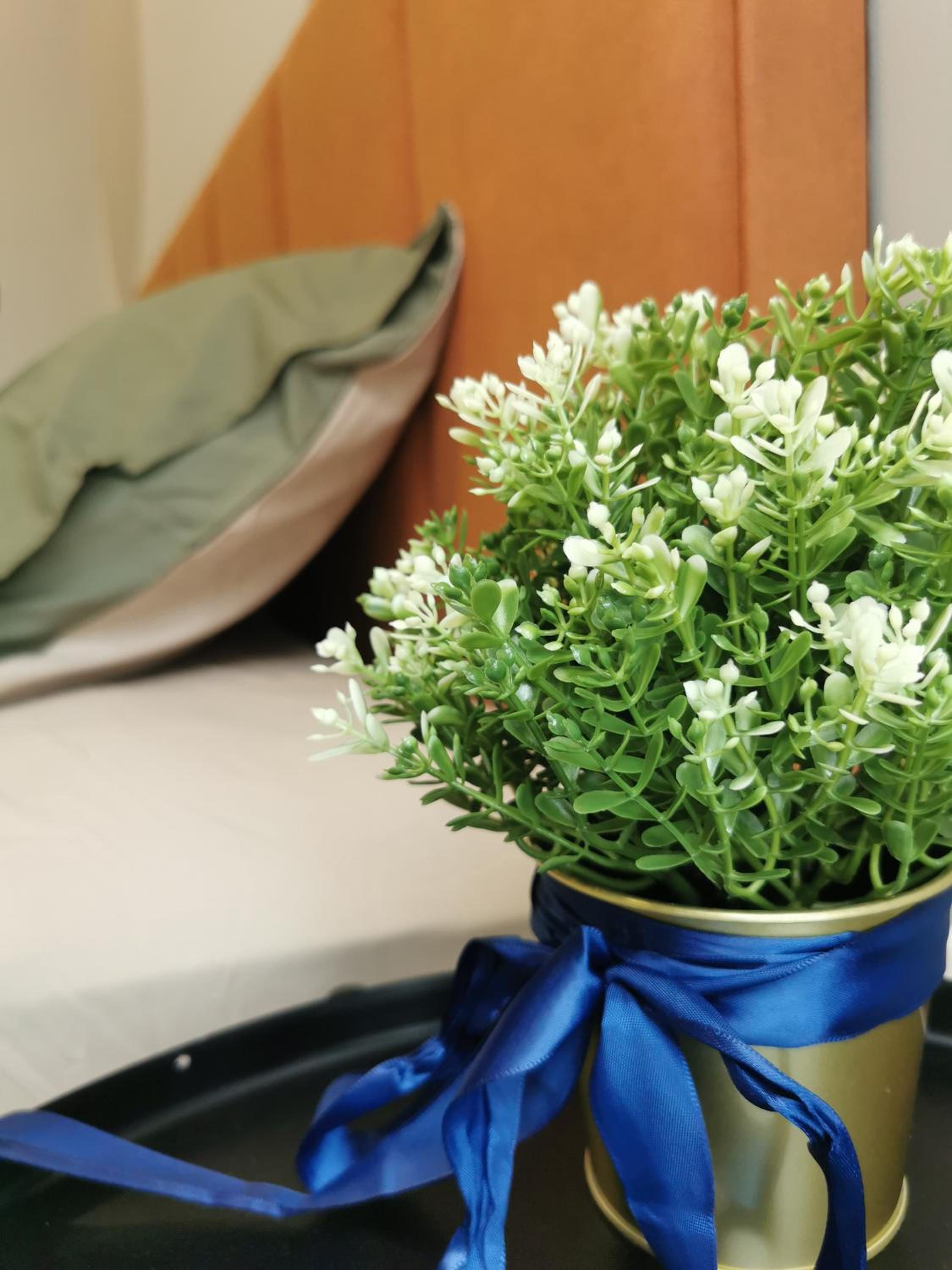 Una Serviced Apartment, Jalan Peel by Rverse Suite