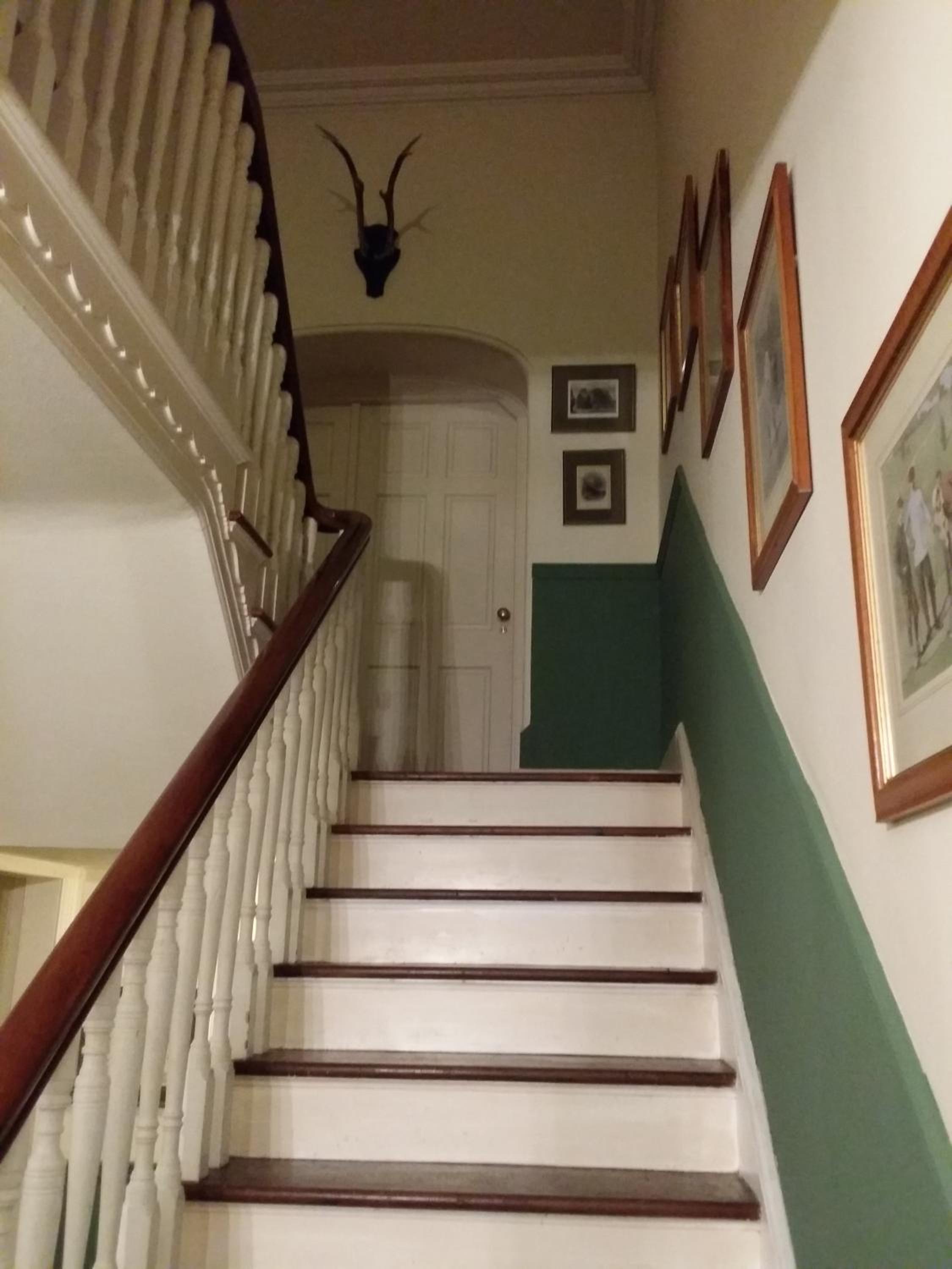 Dromore House Historic Country house view 4