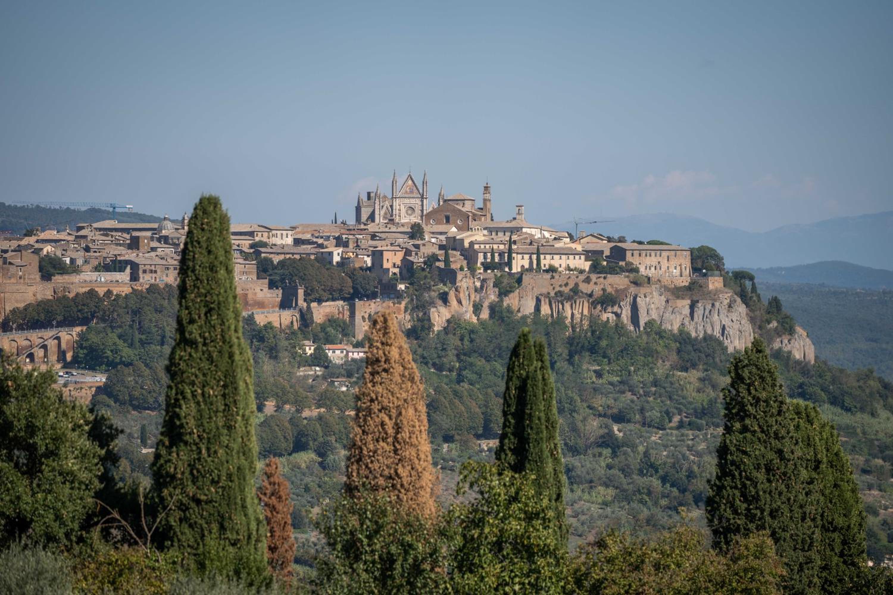 Poggio delle Ginestre