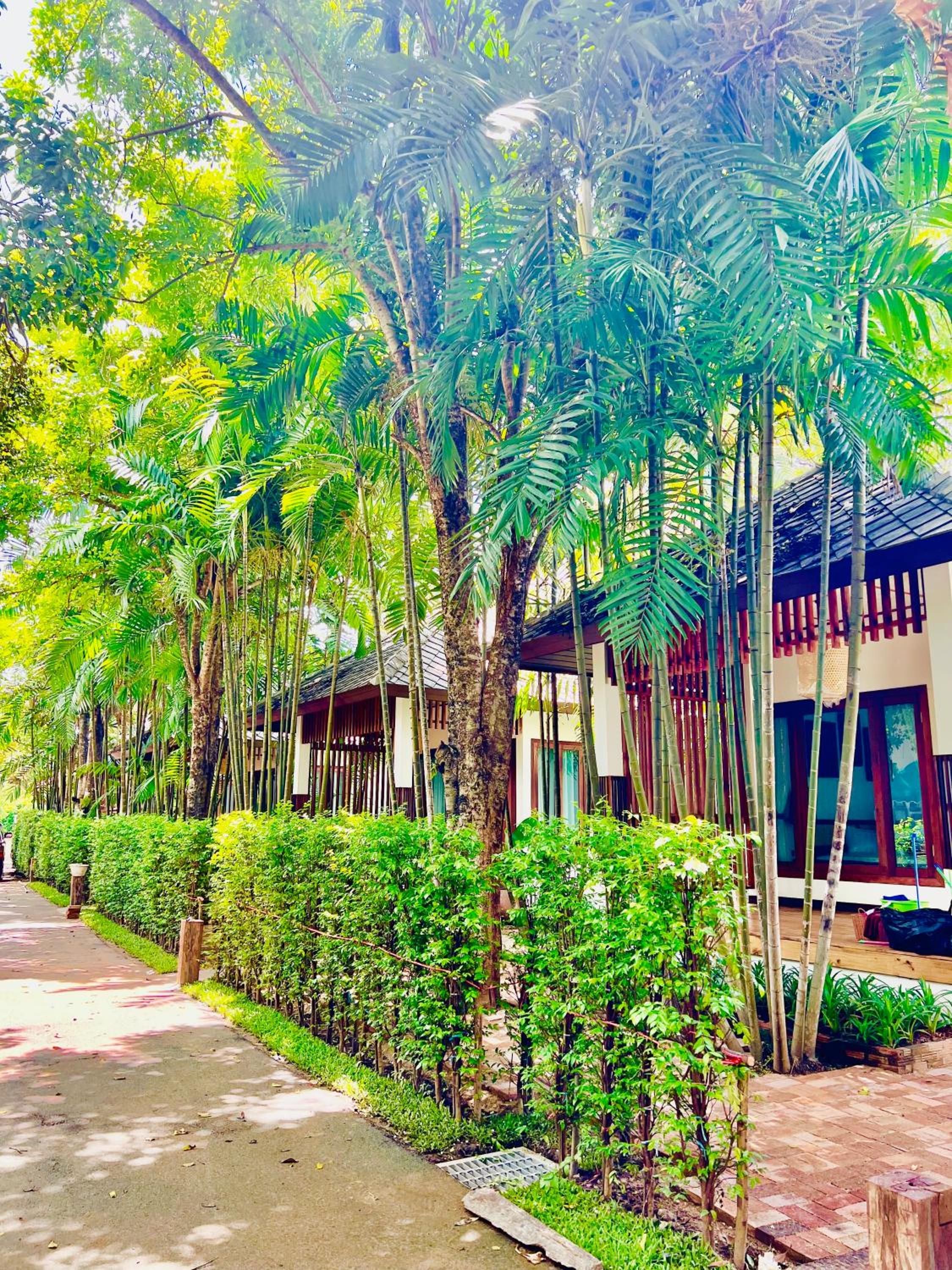 Tai Resort