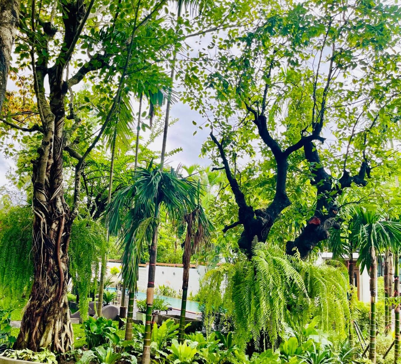 Tai Resort
