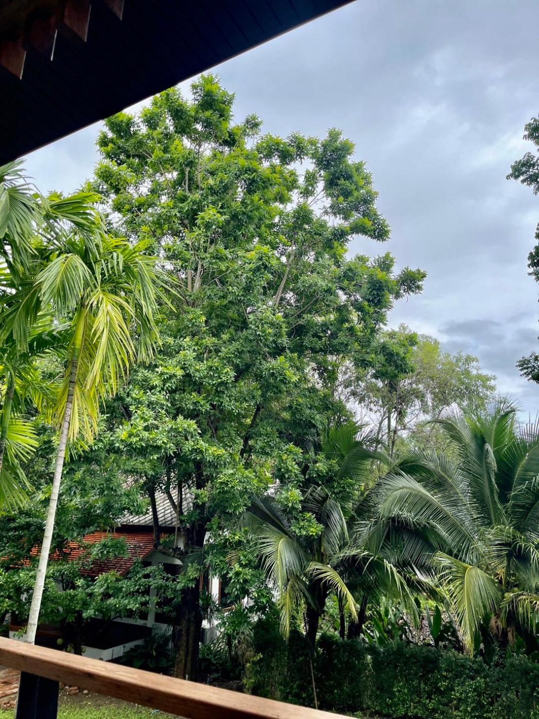 Tai Resort