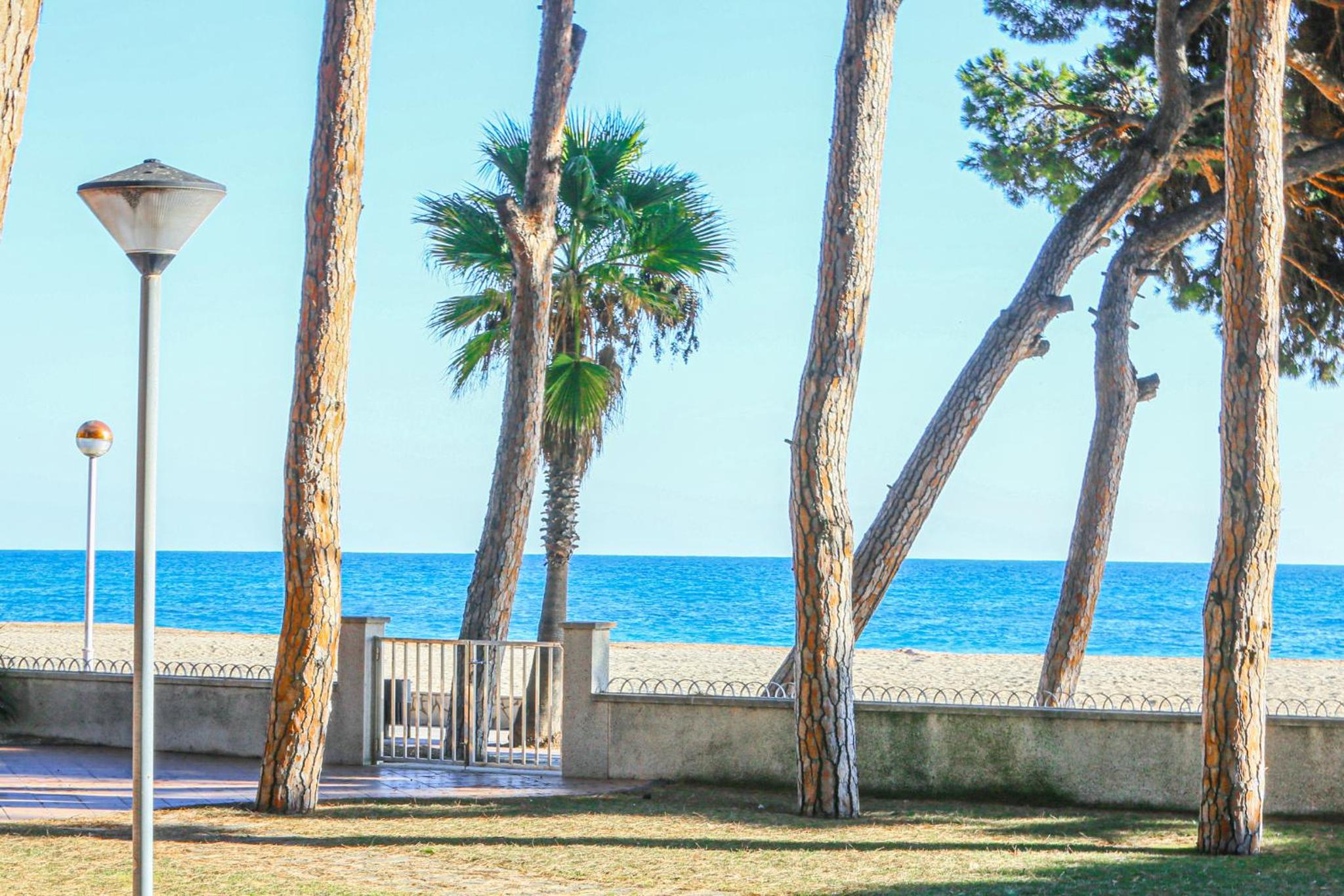 LITORAL COSTA DORADA - PINS I MAR Only families photo 3