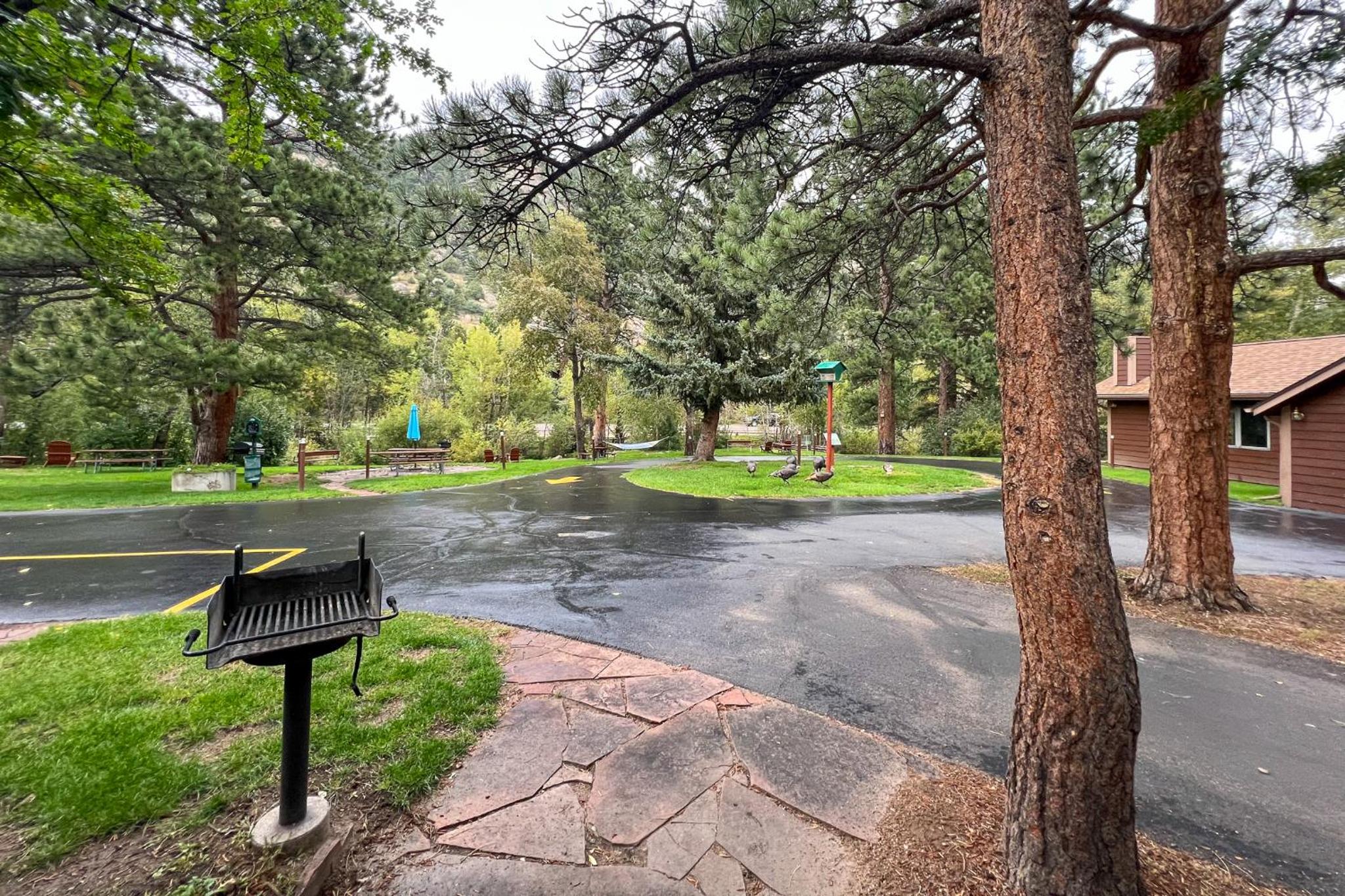 Castle Mountain Lodge
