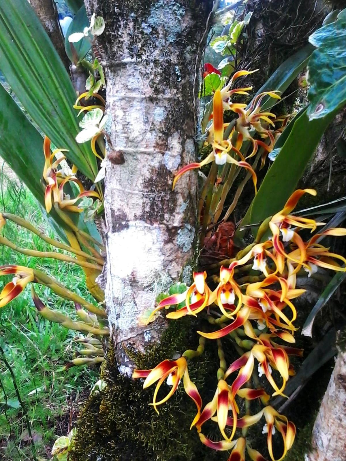 El Encanto Nature Reserve