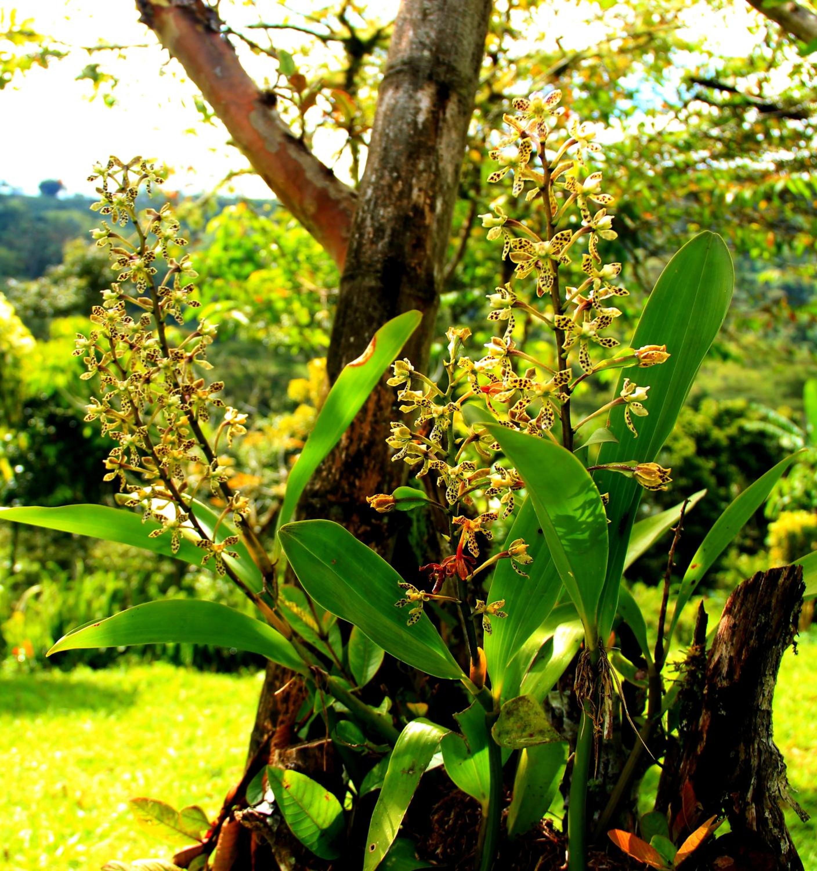 El Encanto Nature Reserve
