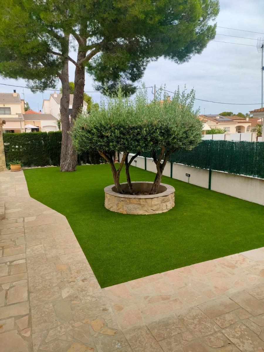 Casa Coco photo 2