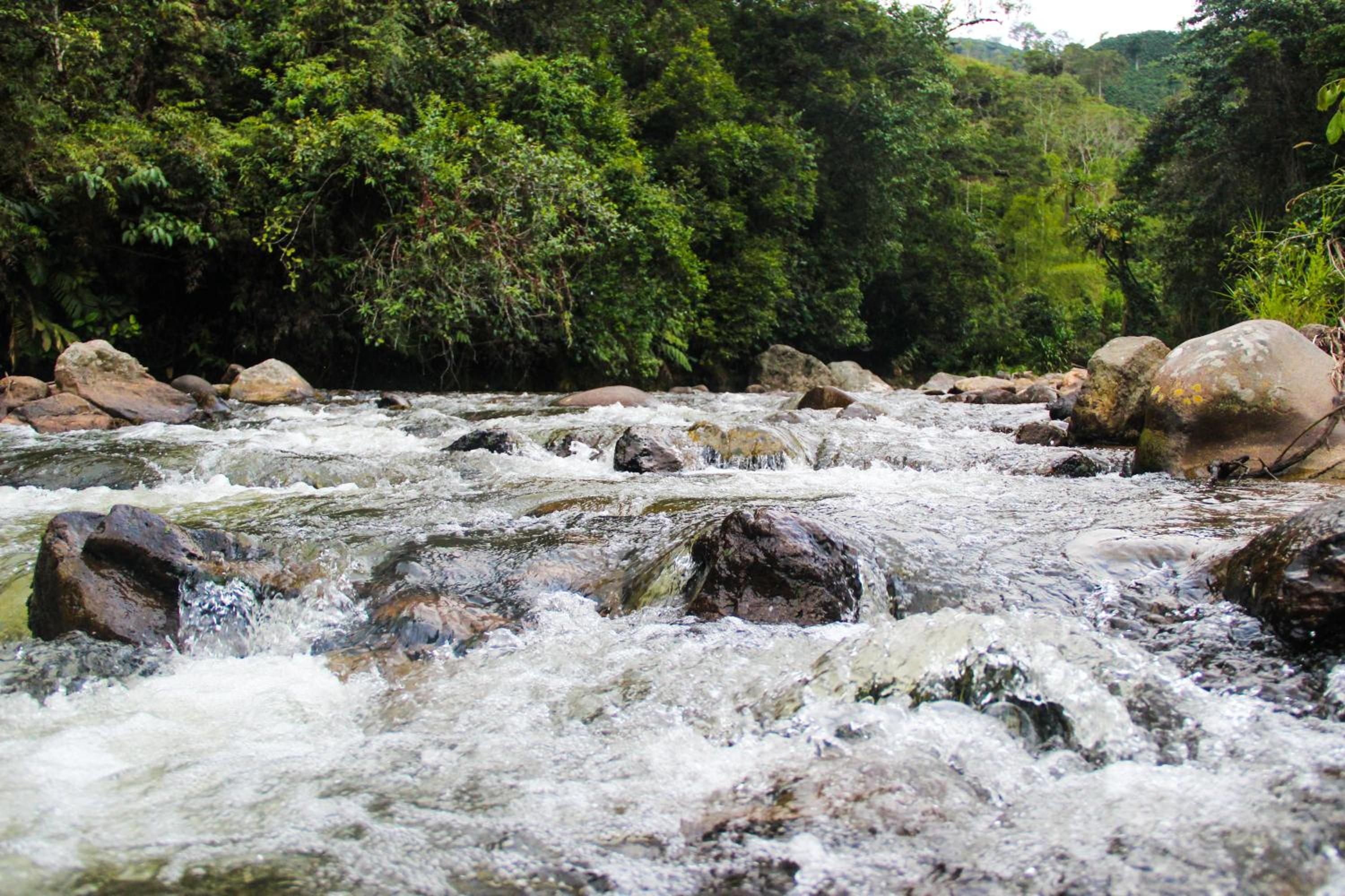 El Encanto Nature Reserve