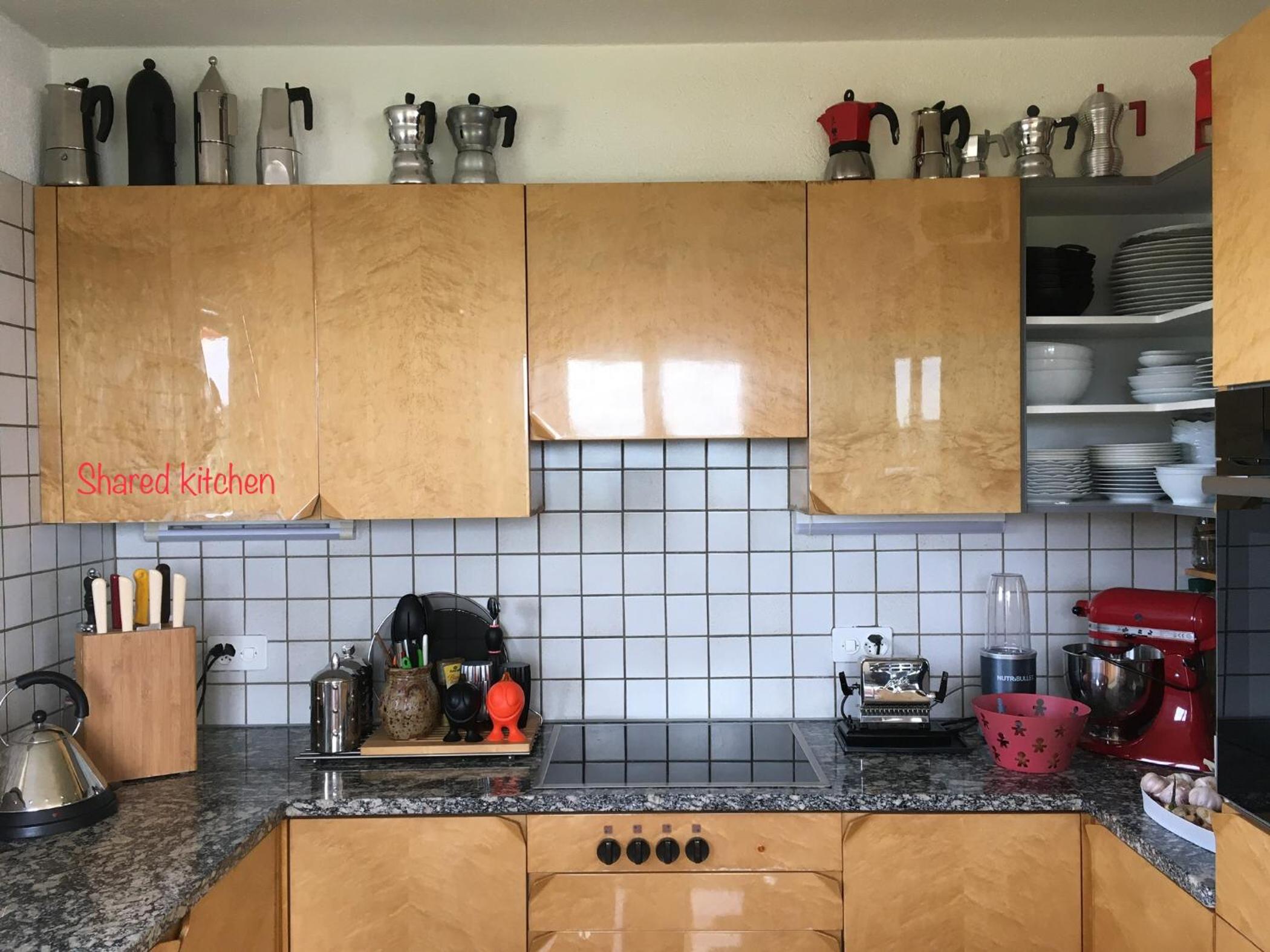 Lakeview Apartment-Lavaux