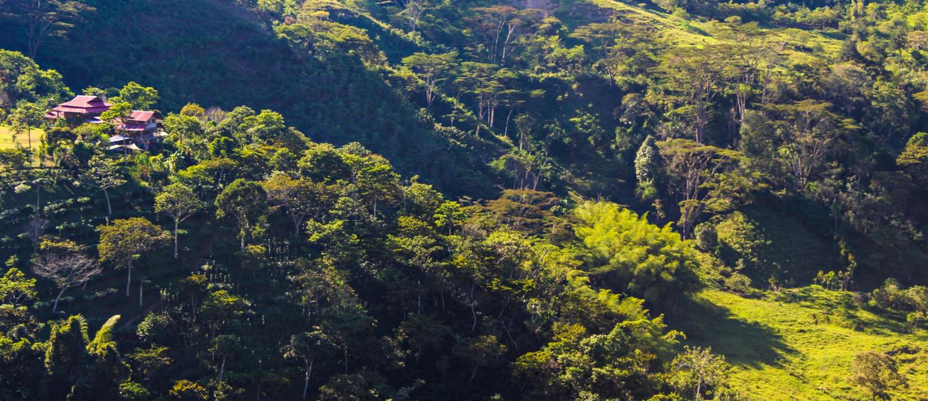 El Encanto Nature Reserve