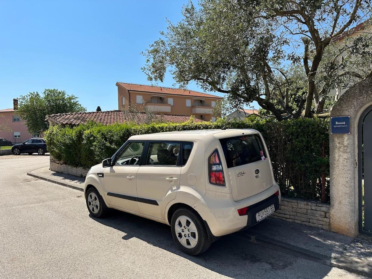 Apartment Mimoza