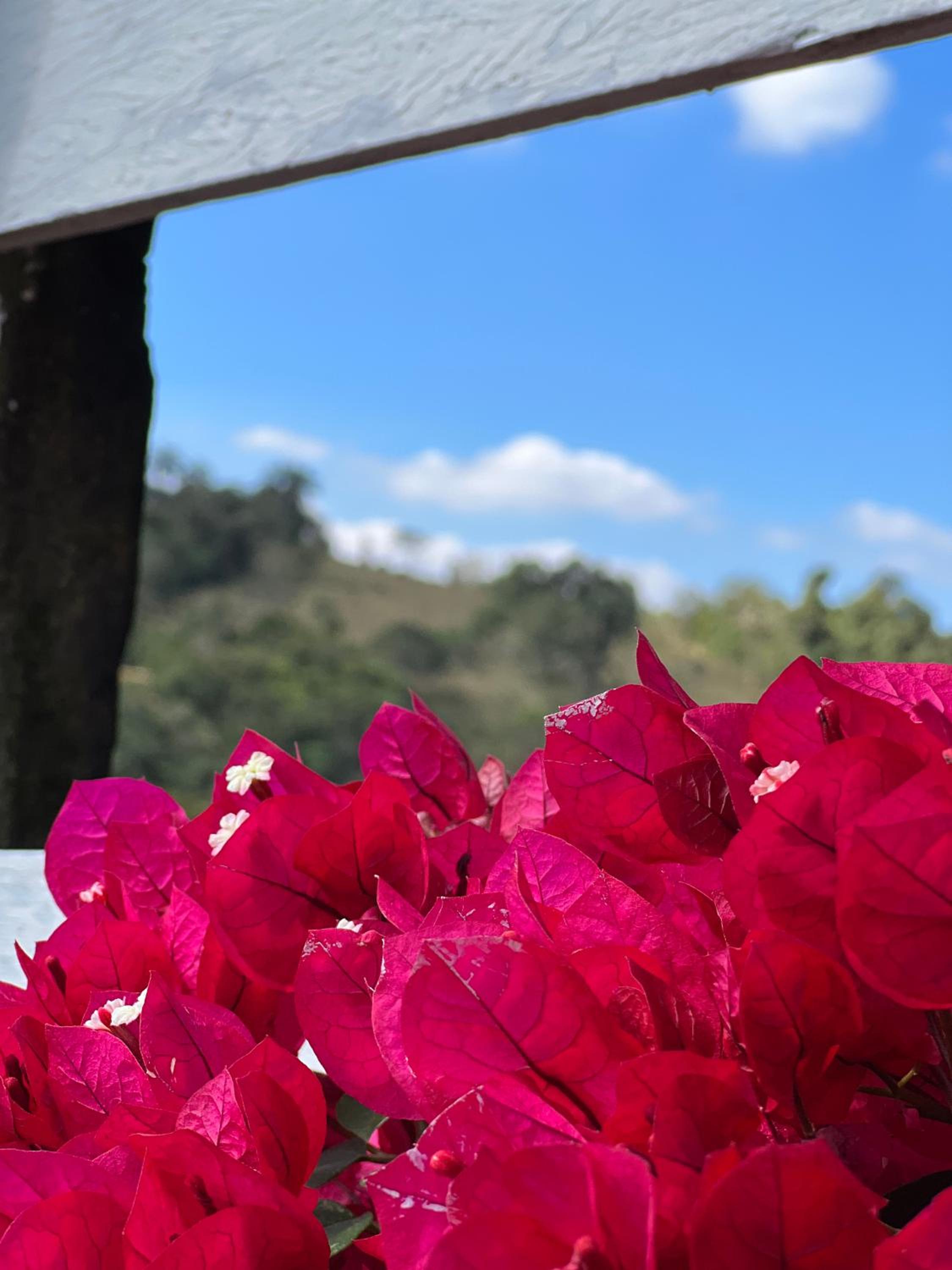 Fazenda do Engenho