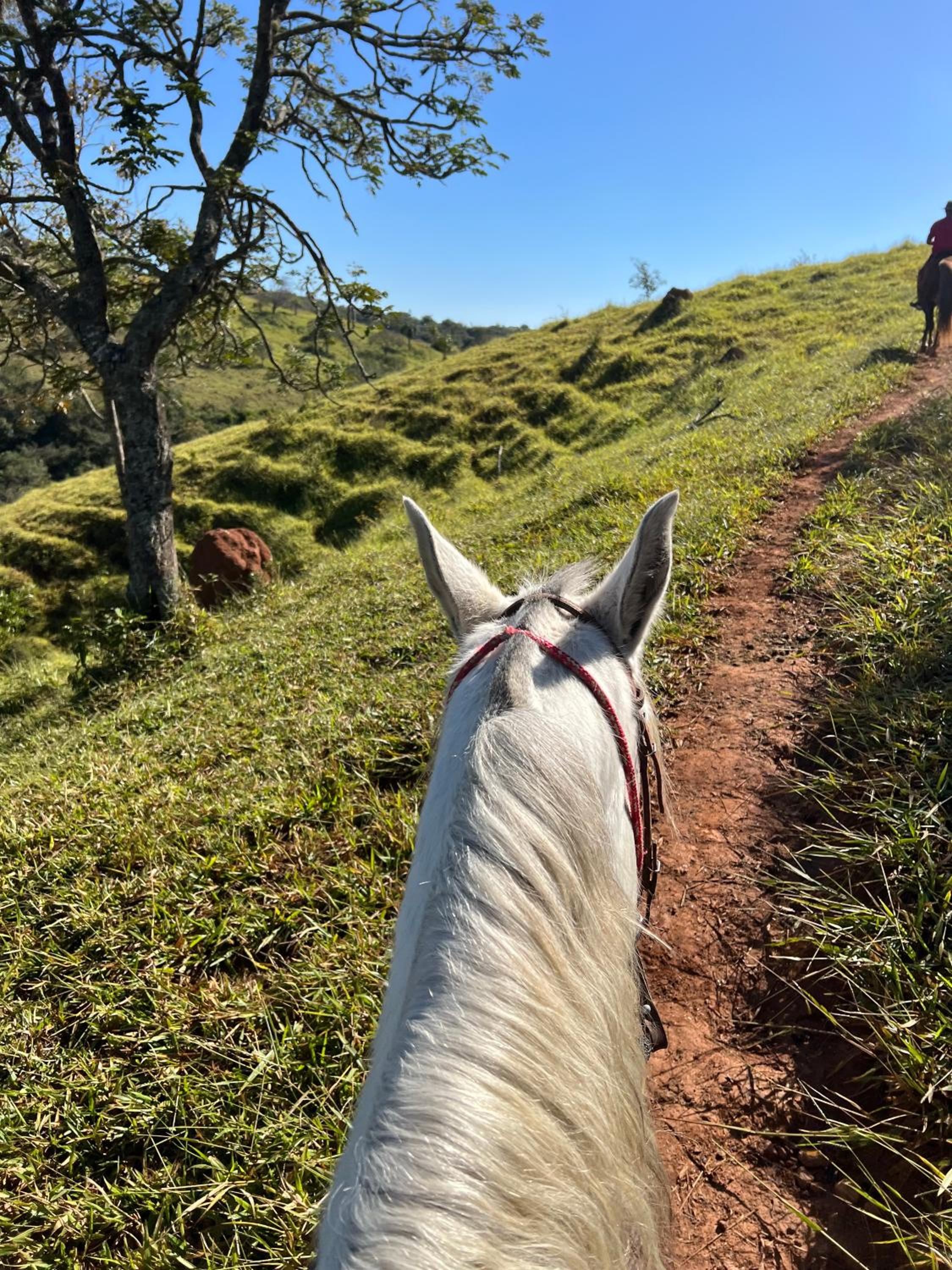 Fazenda do Engenho