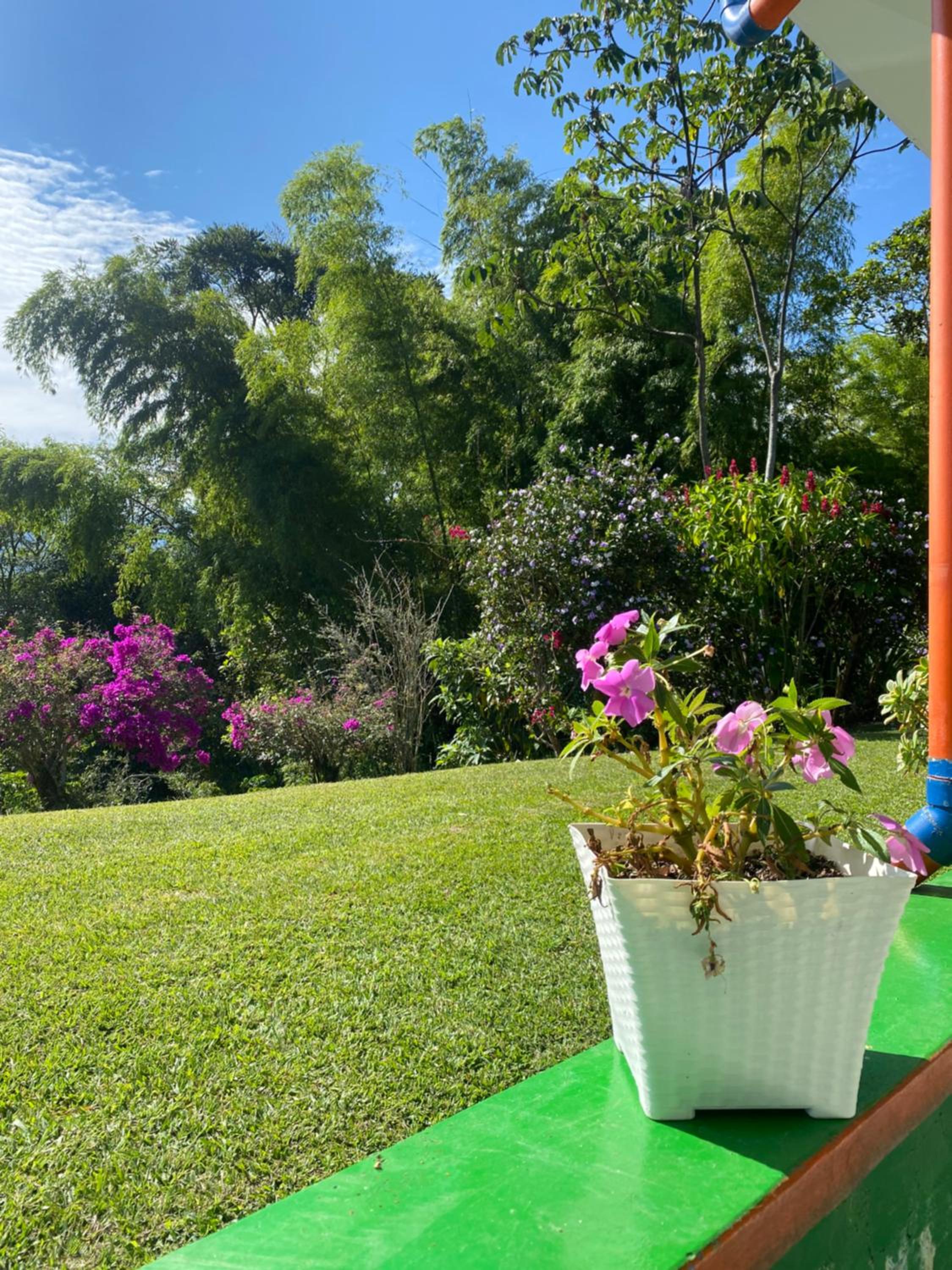 Macondo casa café